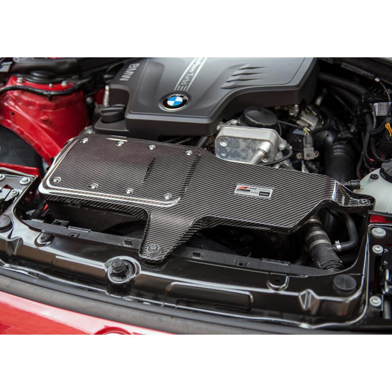 AWE Tuning BMW 228i/320i/328i/428i S-FLO Carbon Intake-SR1 Performance