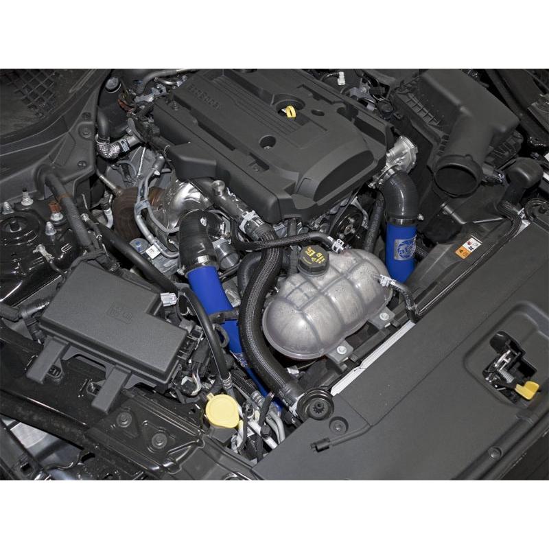 aFe Bladerunner Intercoolers Tube - Blue Hot/Cold Side 15-16 Ford Mustang EcoBoost L4-2.3L (t)-SR1 Performance