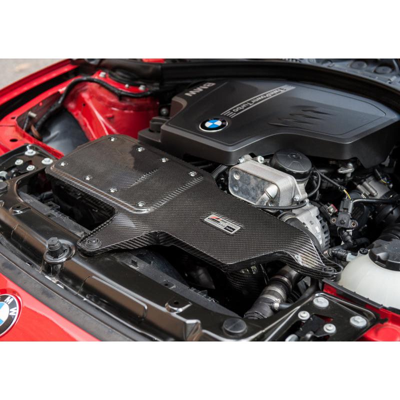 AWE Tuning BMW 228i/320i/328i/428i S-FLO Carbon Intake-SR1 Performance