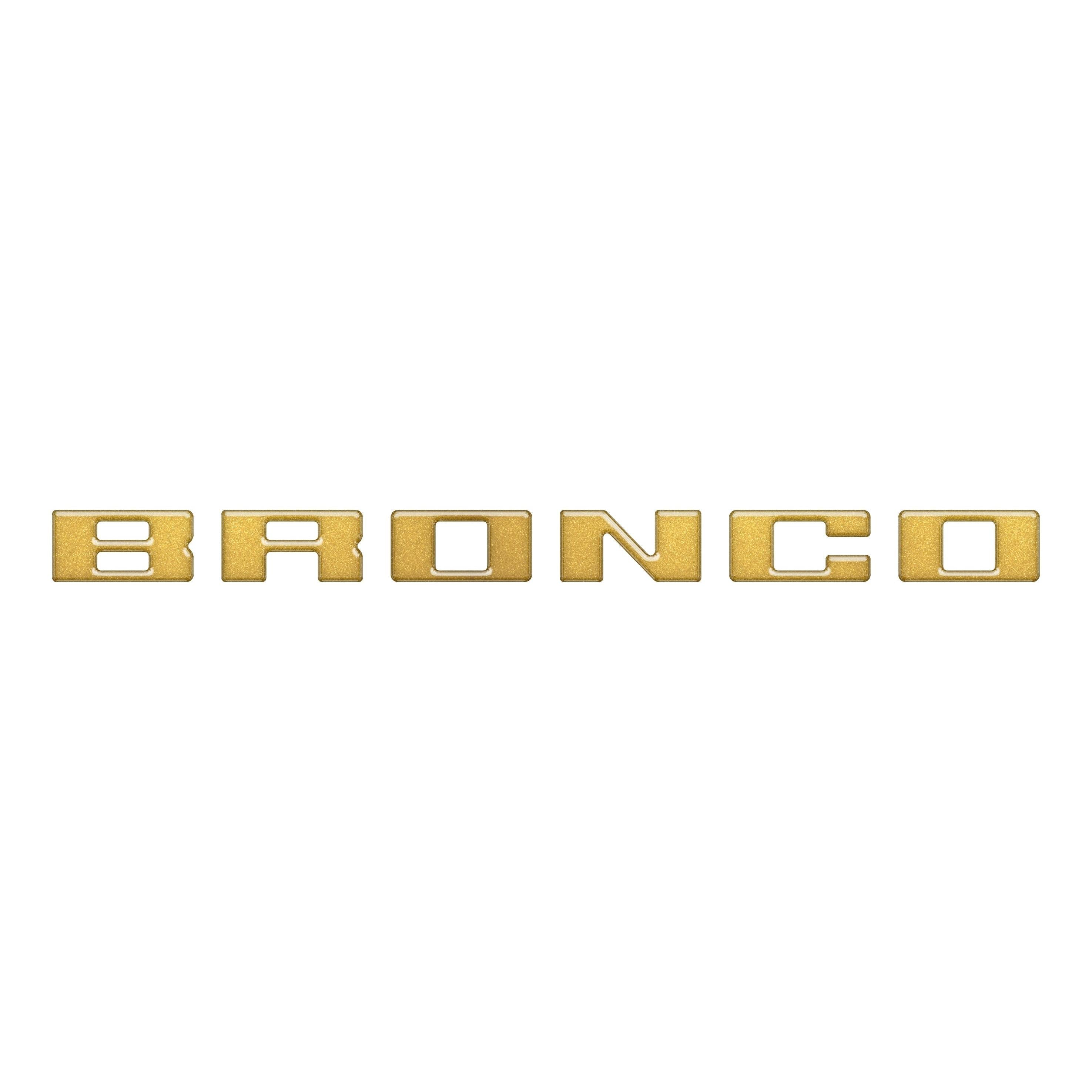 Slideout Tailgate Letter Inserts Fits 2021-2026 Ford Bronco