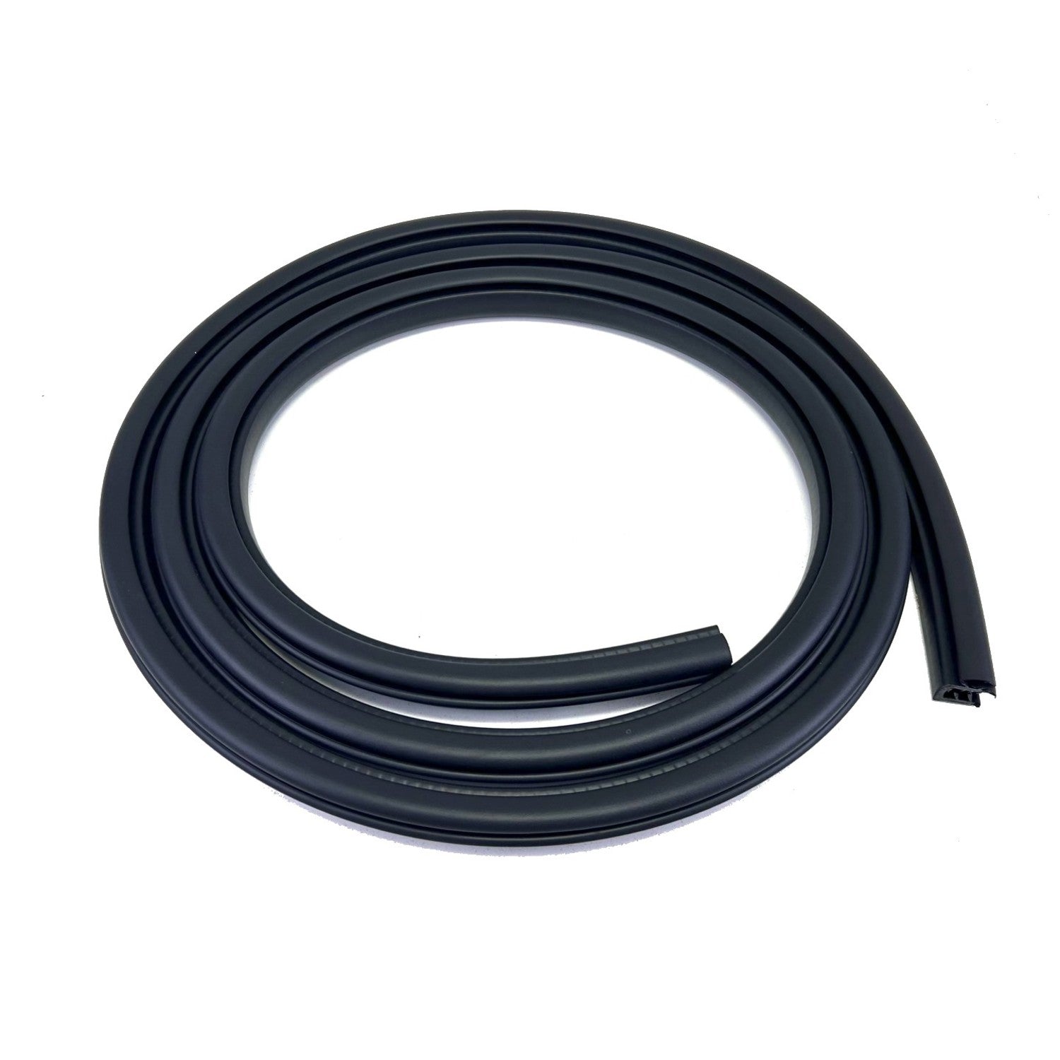 F3102 - Door Seal on Body, Front