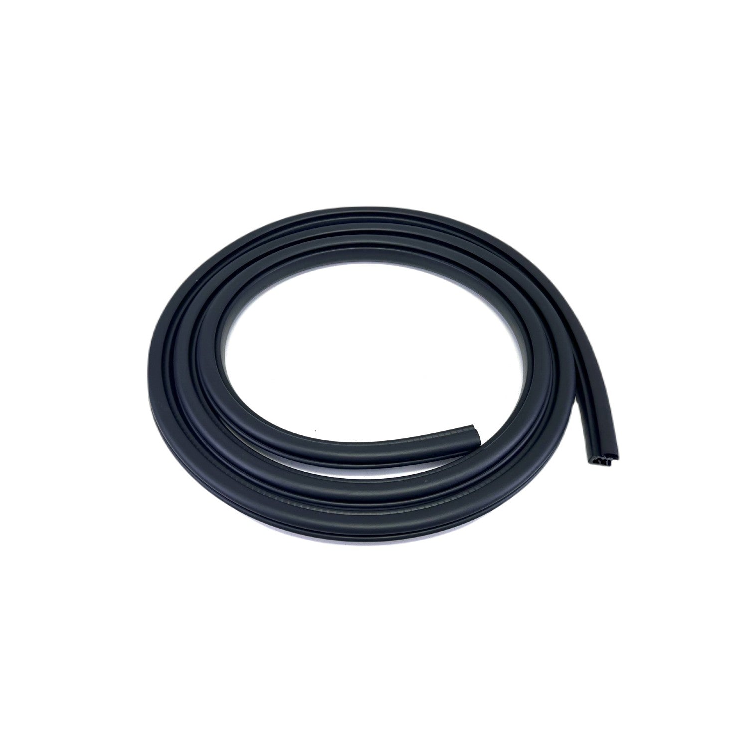 F3103 - Door Seal on Body, Front