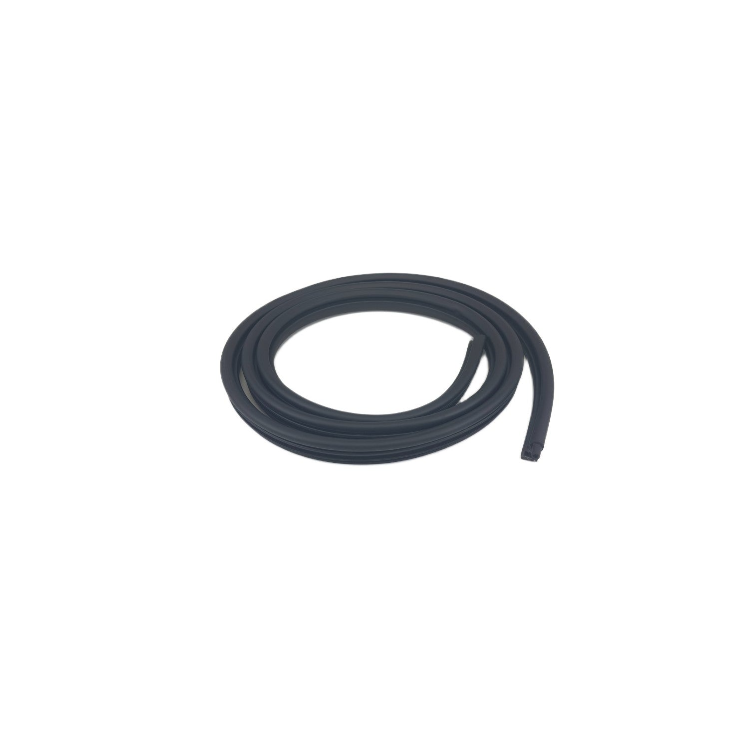 F3133 - Door Seal on Body, Rear
