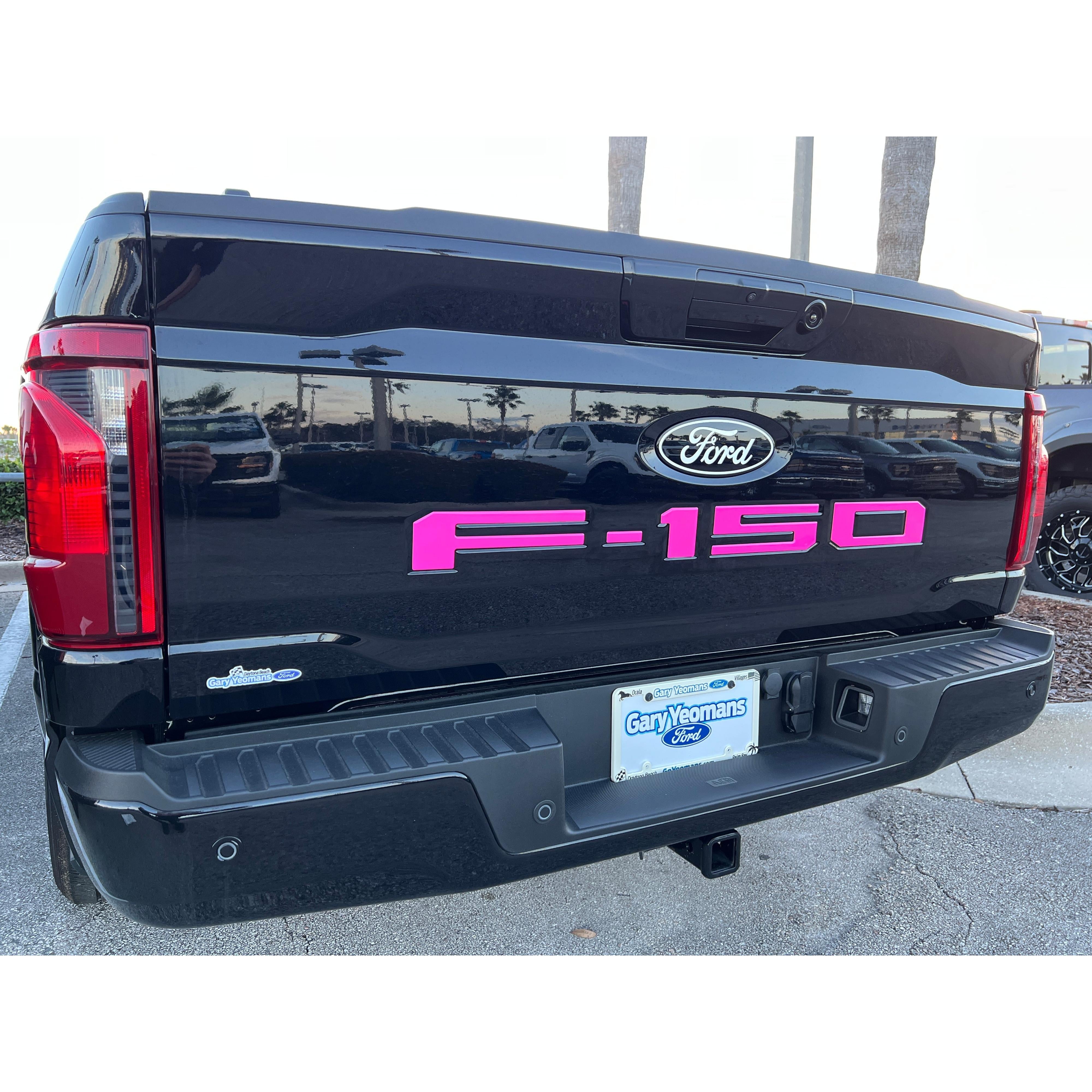 Tailgate Letter Inserts Fits 2021-2026 Ford F-150