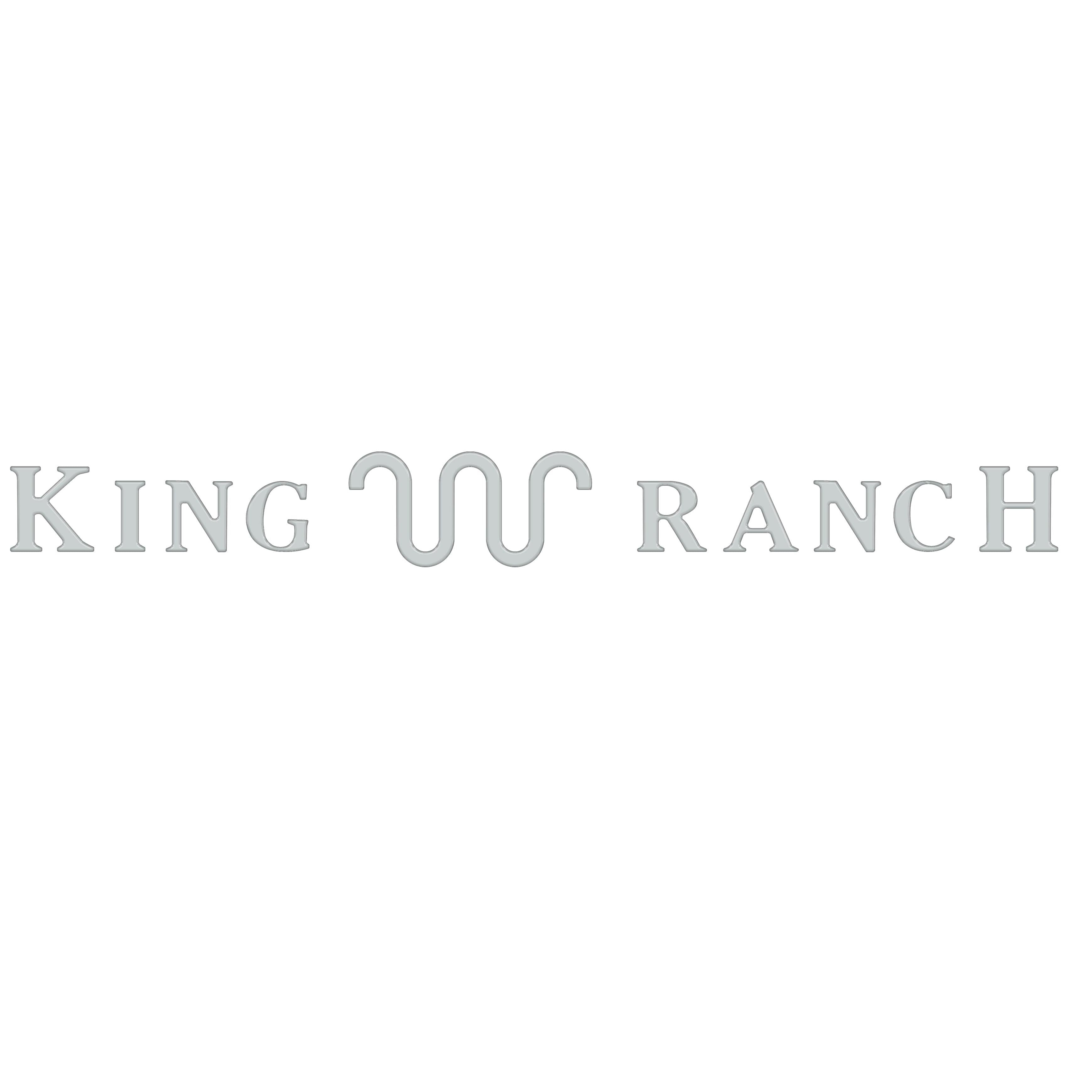 Tailgate Letter Inserts Fits 2021-2024 Ford F-150 King Ranch
