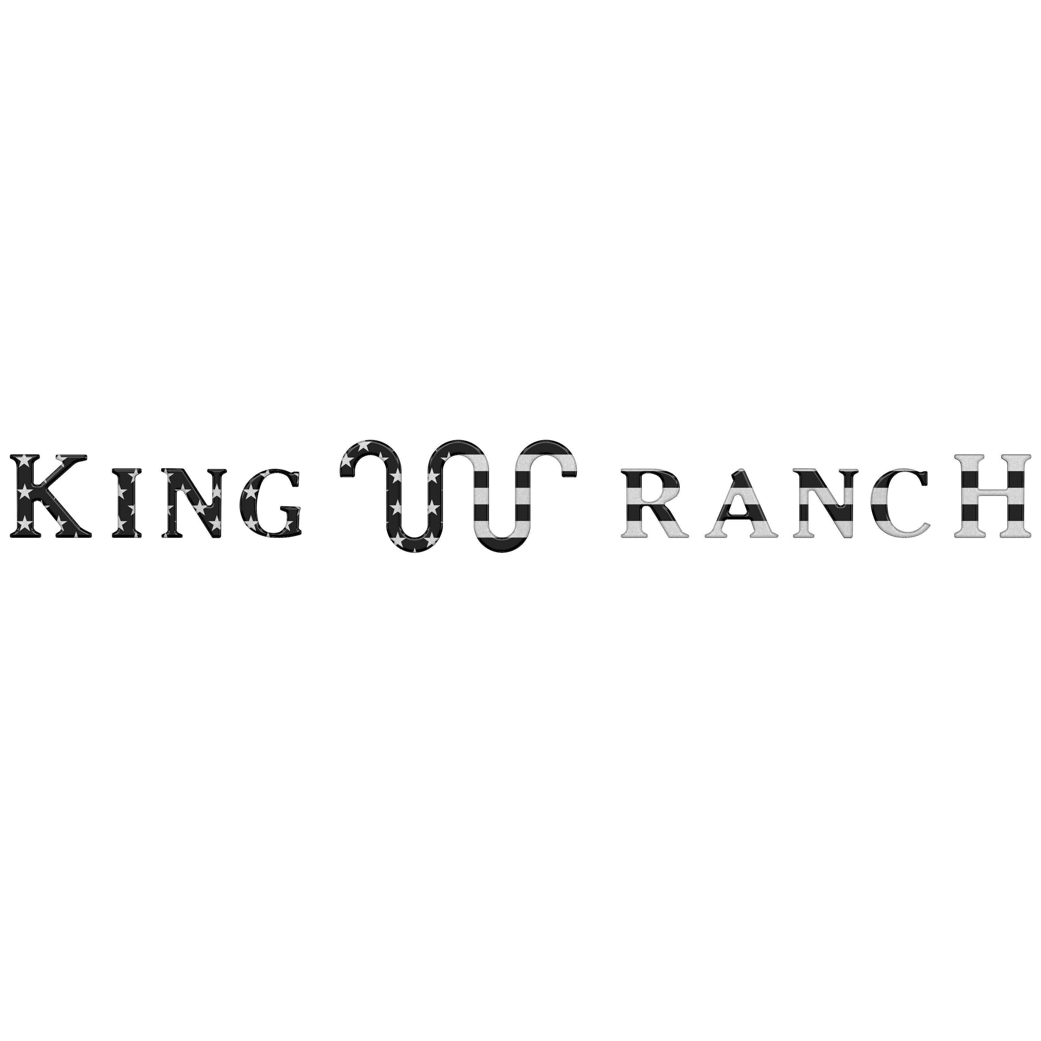 Tailgate Letter Inserts Fits 2021-2024 Ford F-150 King Ranch