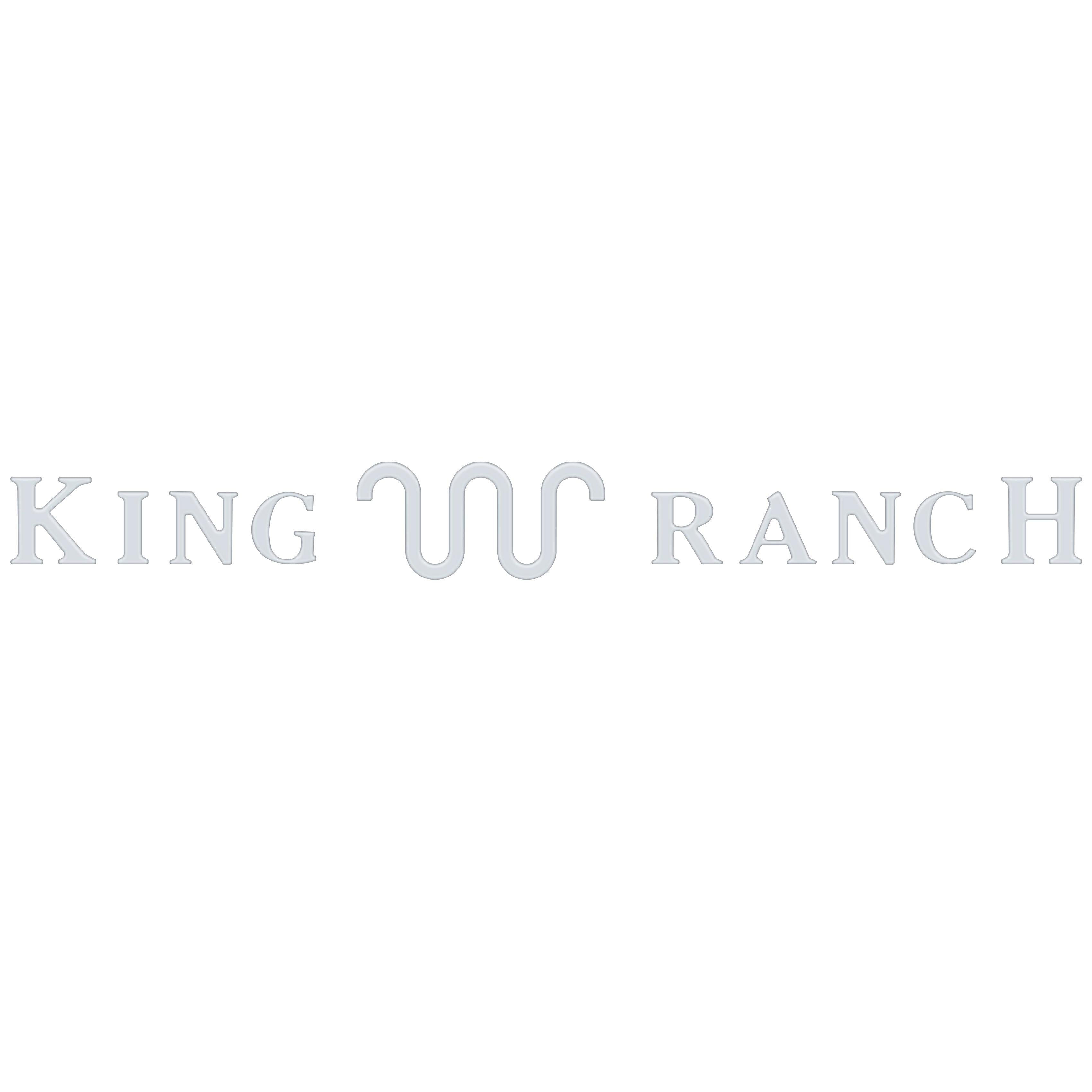 Tailgate Letter Inserts Fits 2021-2024 Ford F-150 King Ranch