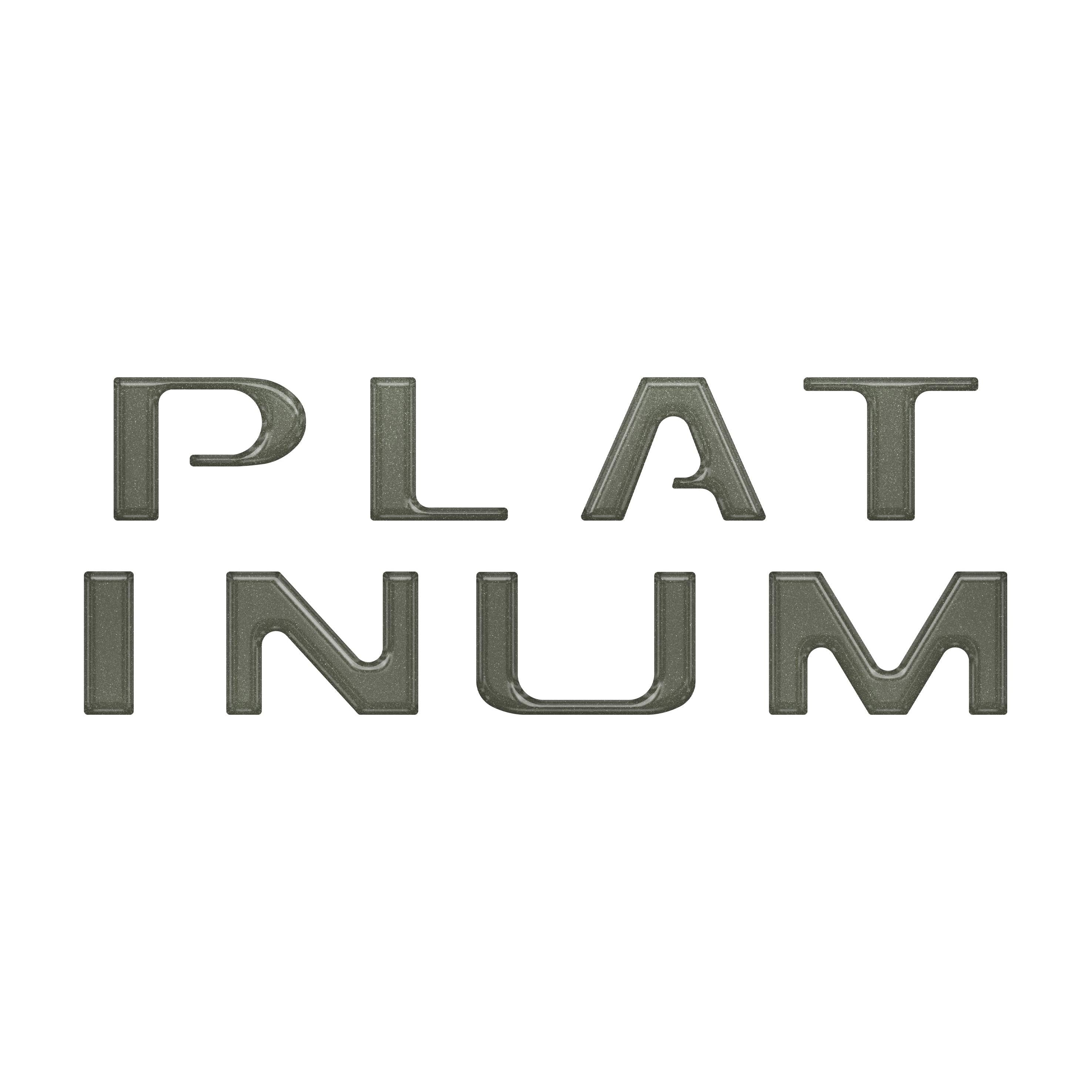 Tailgate Letter Inserts Fits 2018-2020 Ford F-150 Platinum