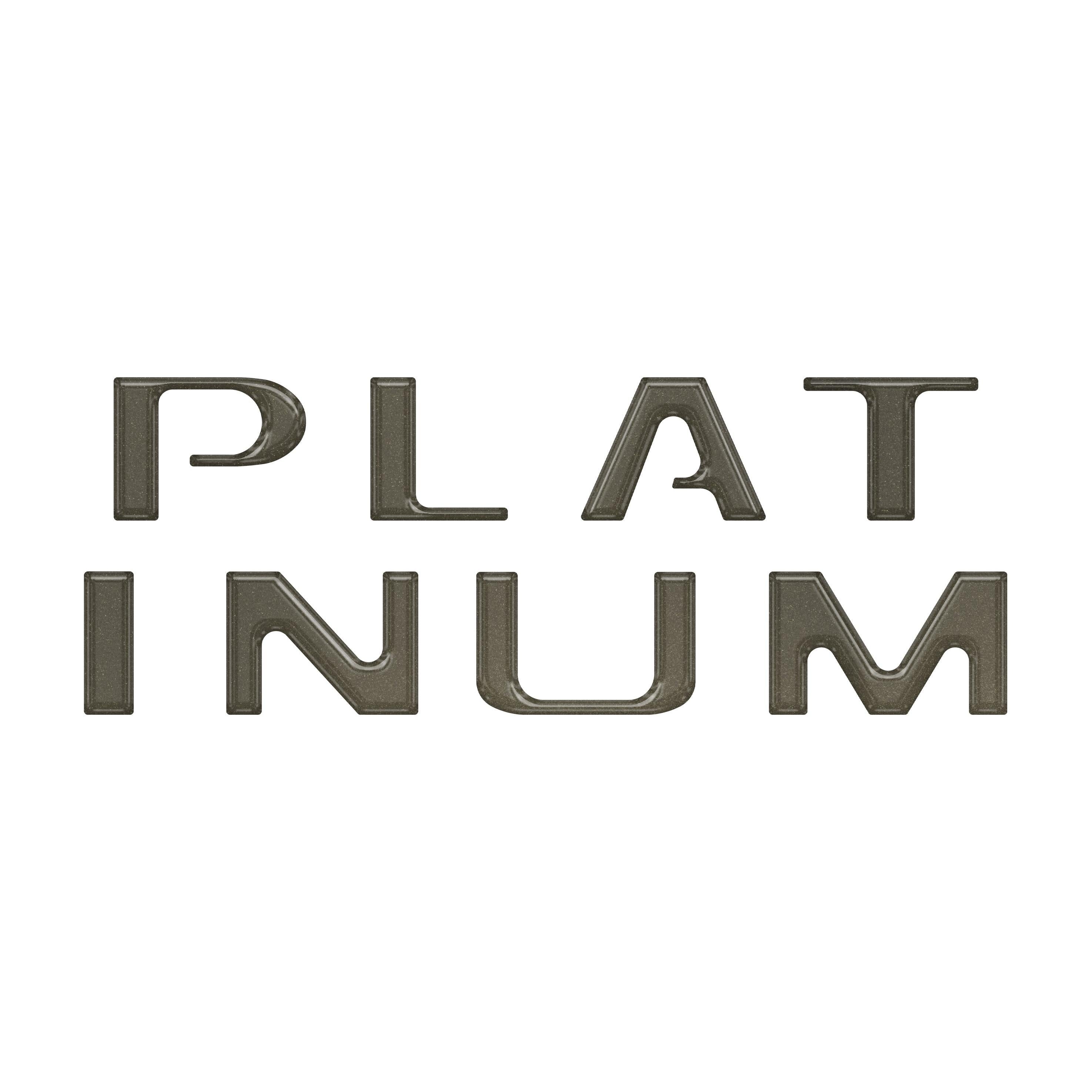 Platinum Tailgate Letter Inserts Fits 2021-2023 Ford F-150