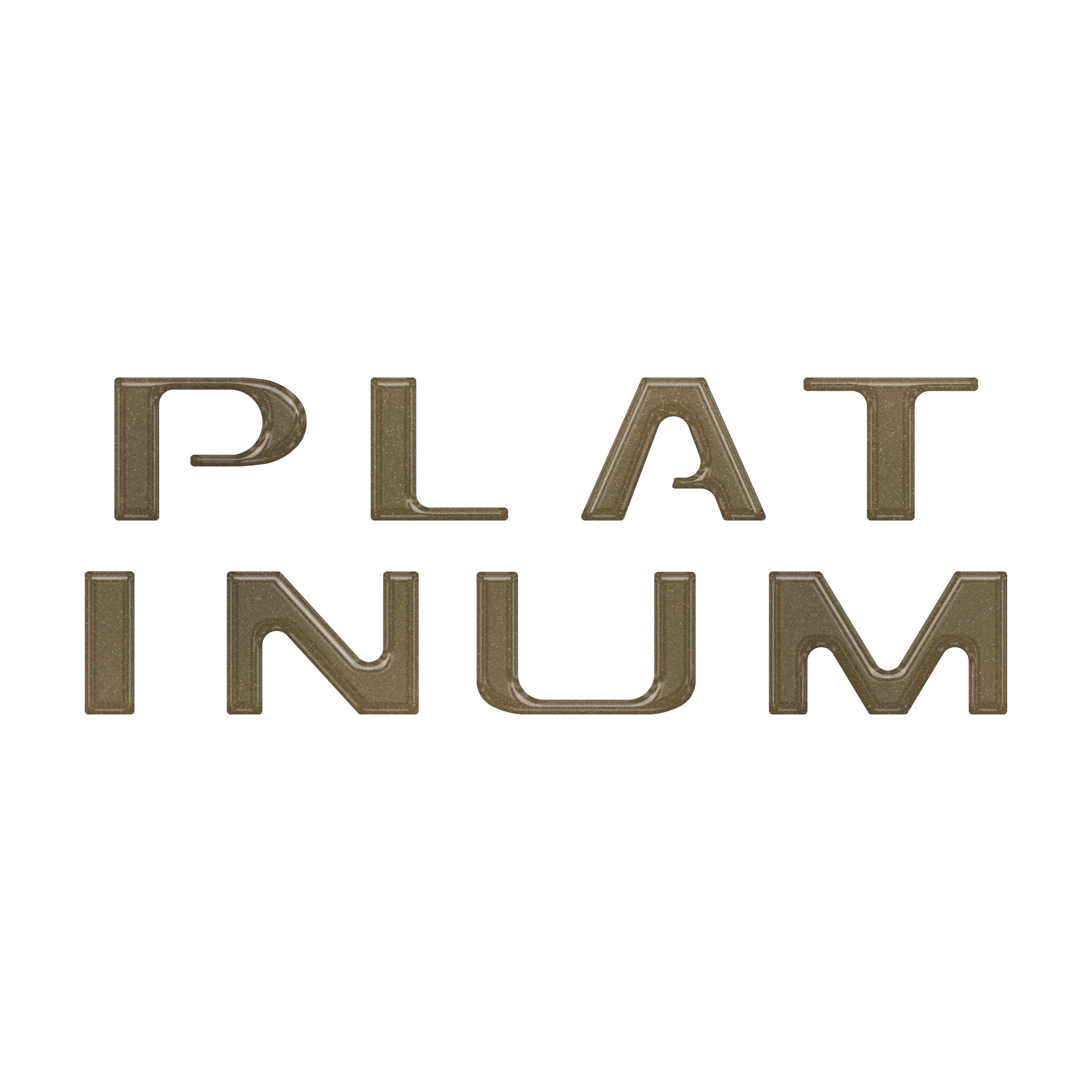 Platinum Tailgate Letter Inserts Fits 2021-2023 Ford F-150