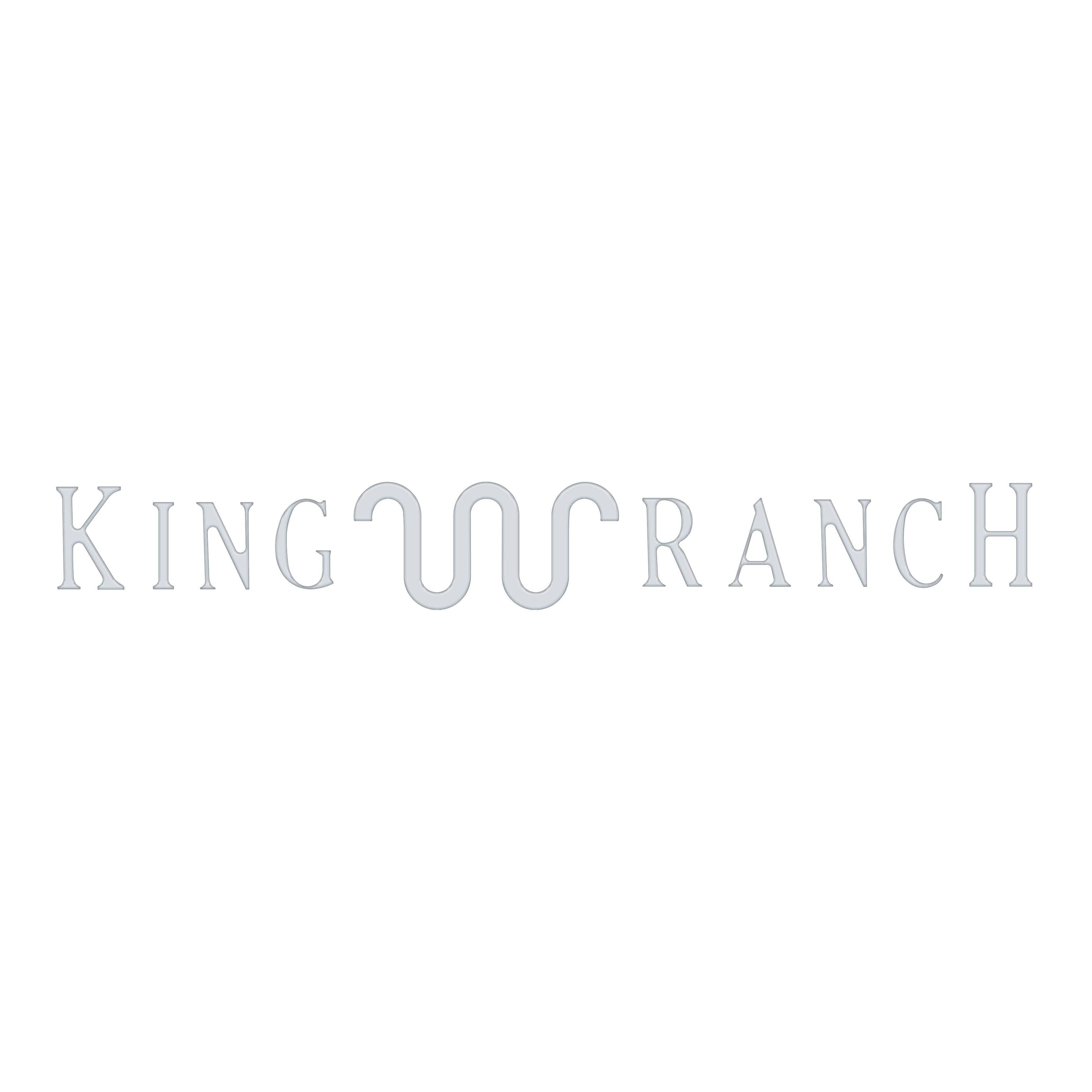 King Ranch Tailgate Letter Inserts Fits 2015-2017 Ford F-150