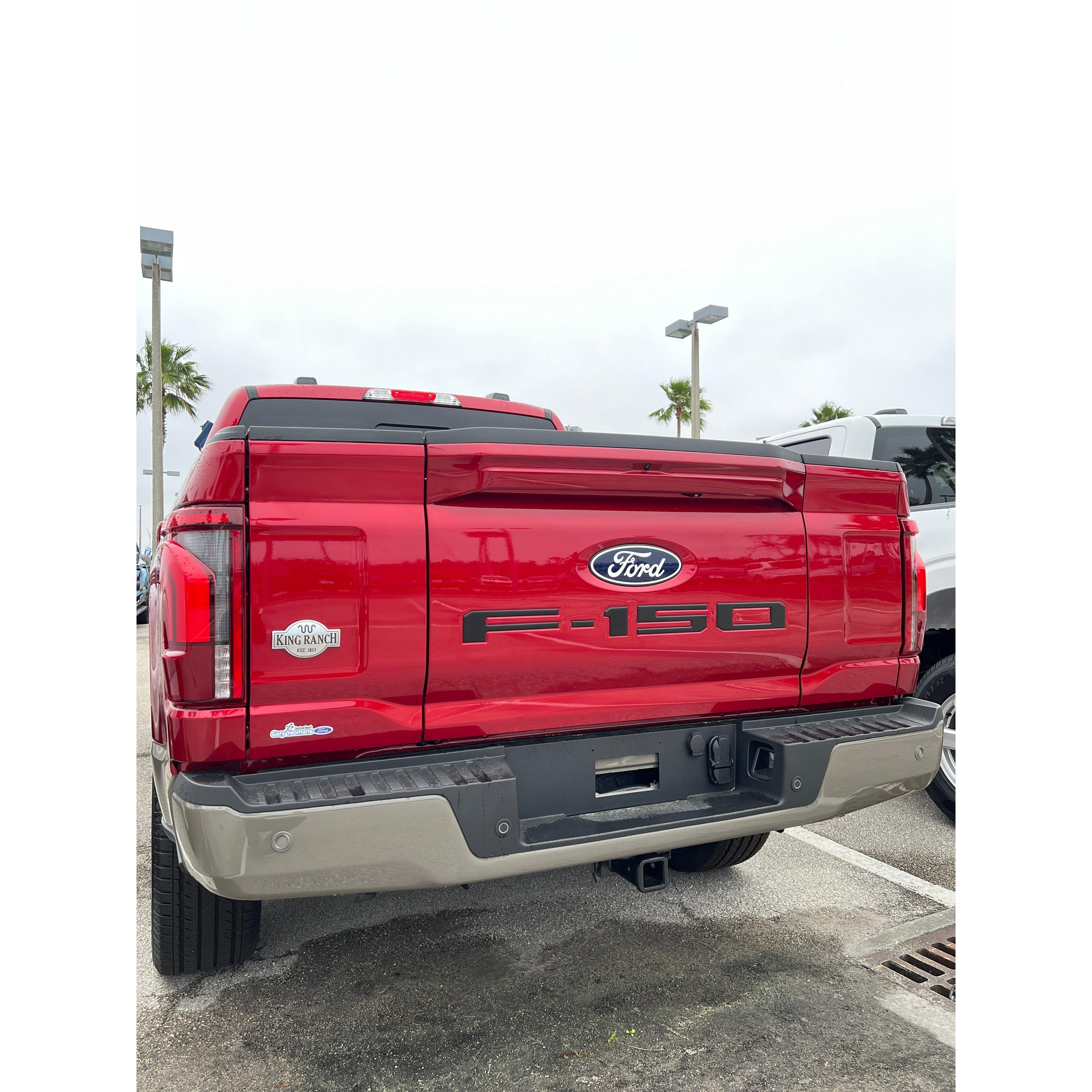 Tailgate Letter Inserts Fits 2021-2026 Ford F-150