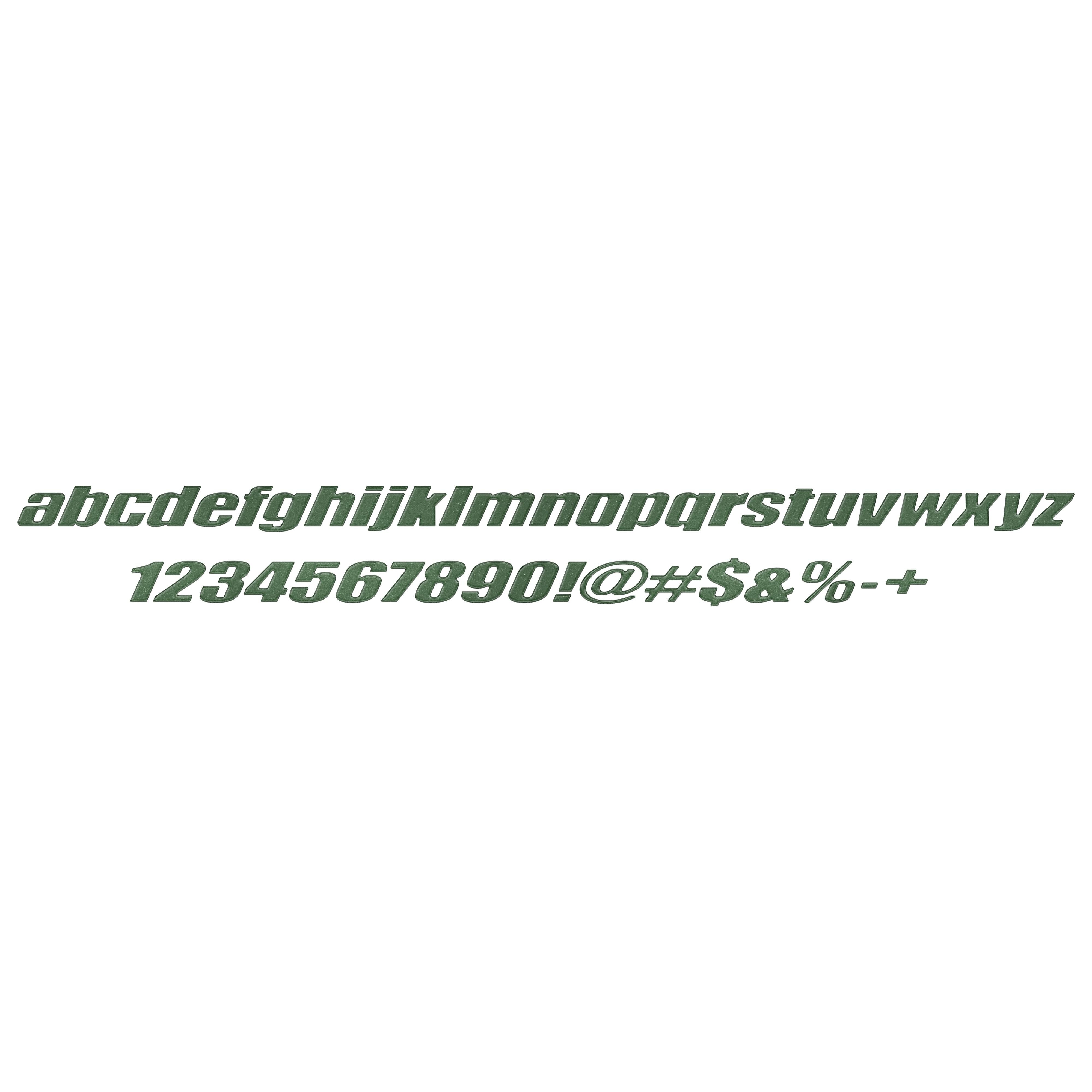 Ryker Side Lettering Overlays Fits 2019-2024 Can-Am Ryker