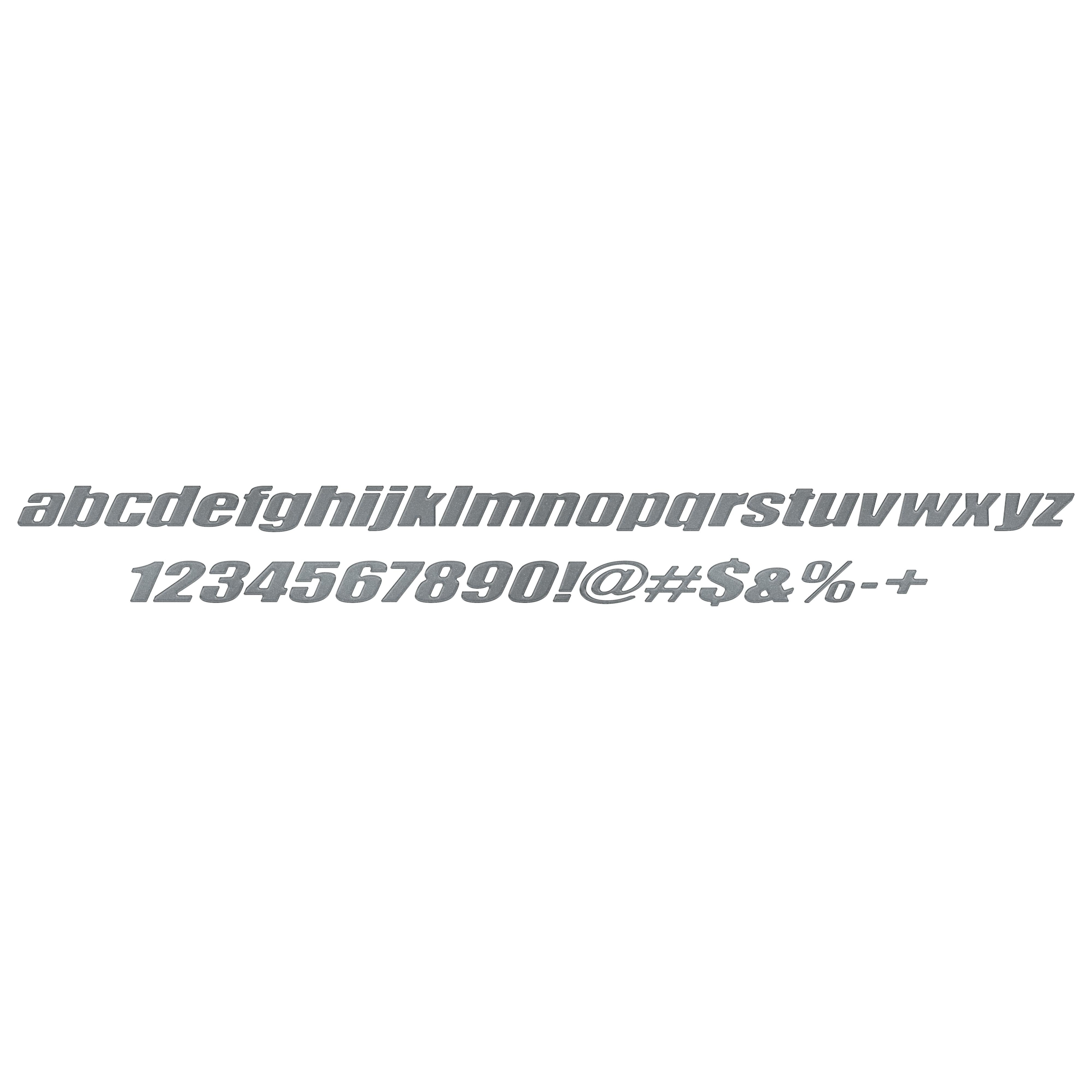 Ryker Side Lettering Overlays Fits 2019-2024 Can-Am Ryker