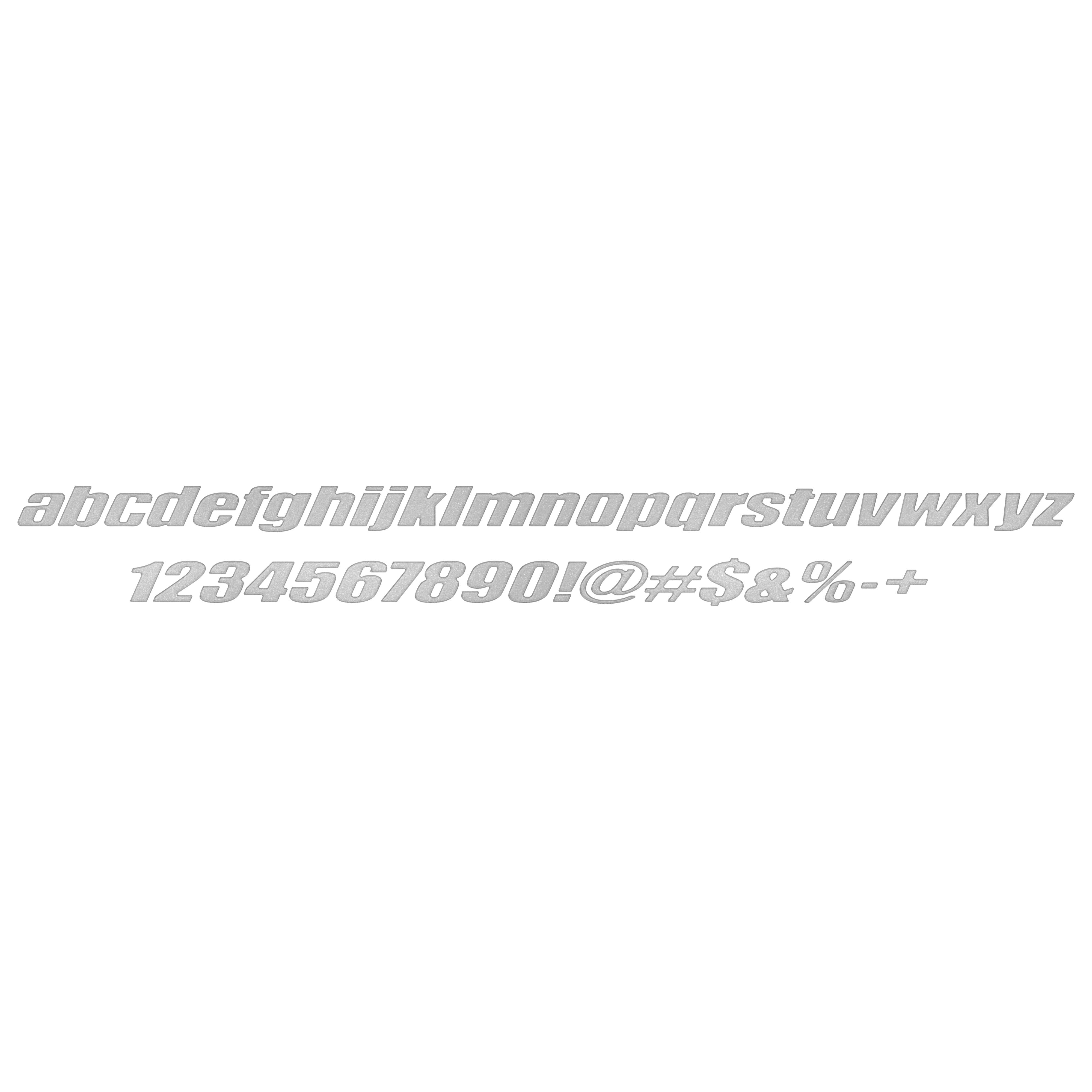 Ryker Side Lettering Overlays Fits 2019-2024 Can-Am Ryker