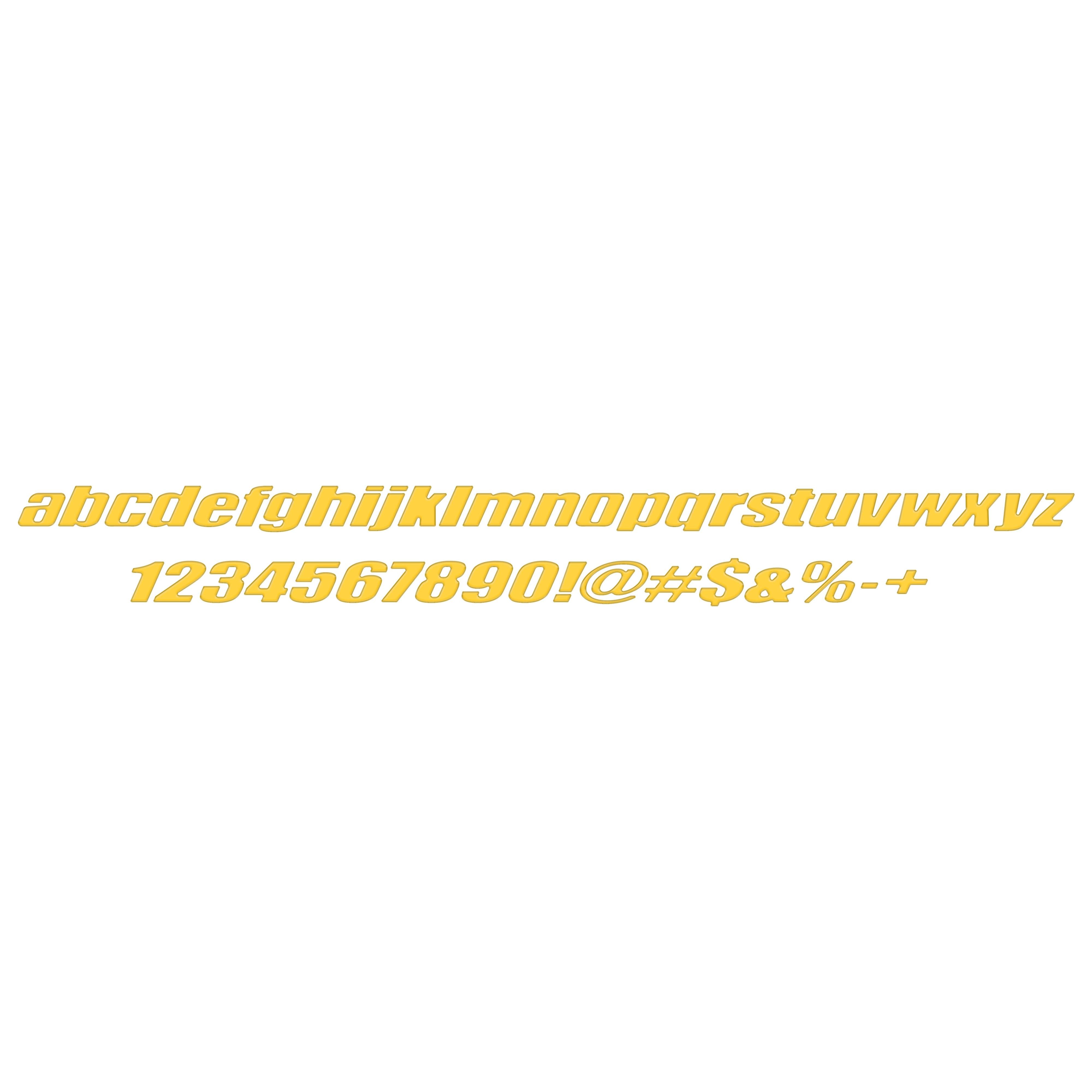 Ryker Side Lettering Overlays Fits 2019-2024 Can-Am Ryker