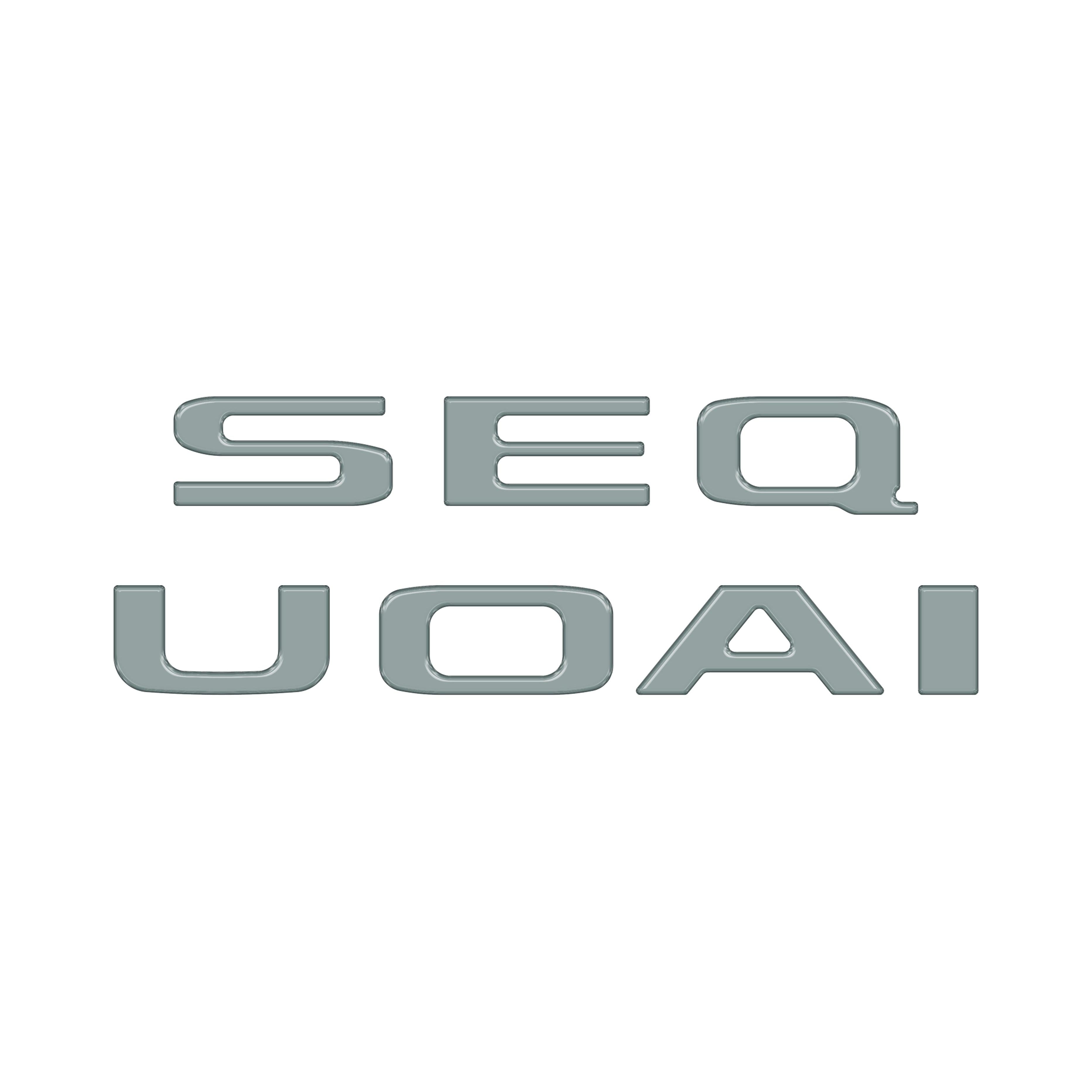 Rear Hatch Letter Overlays Fits 2023-2026 Toyota Sequoia