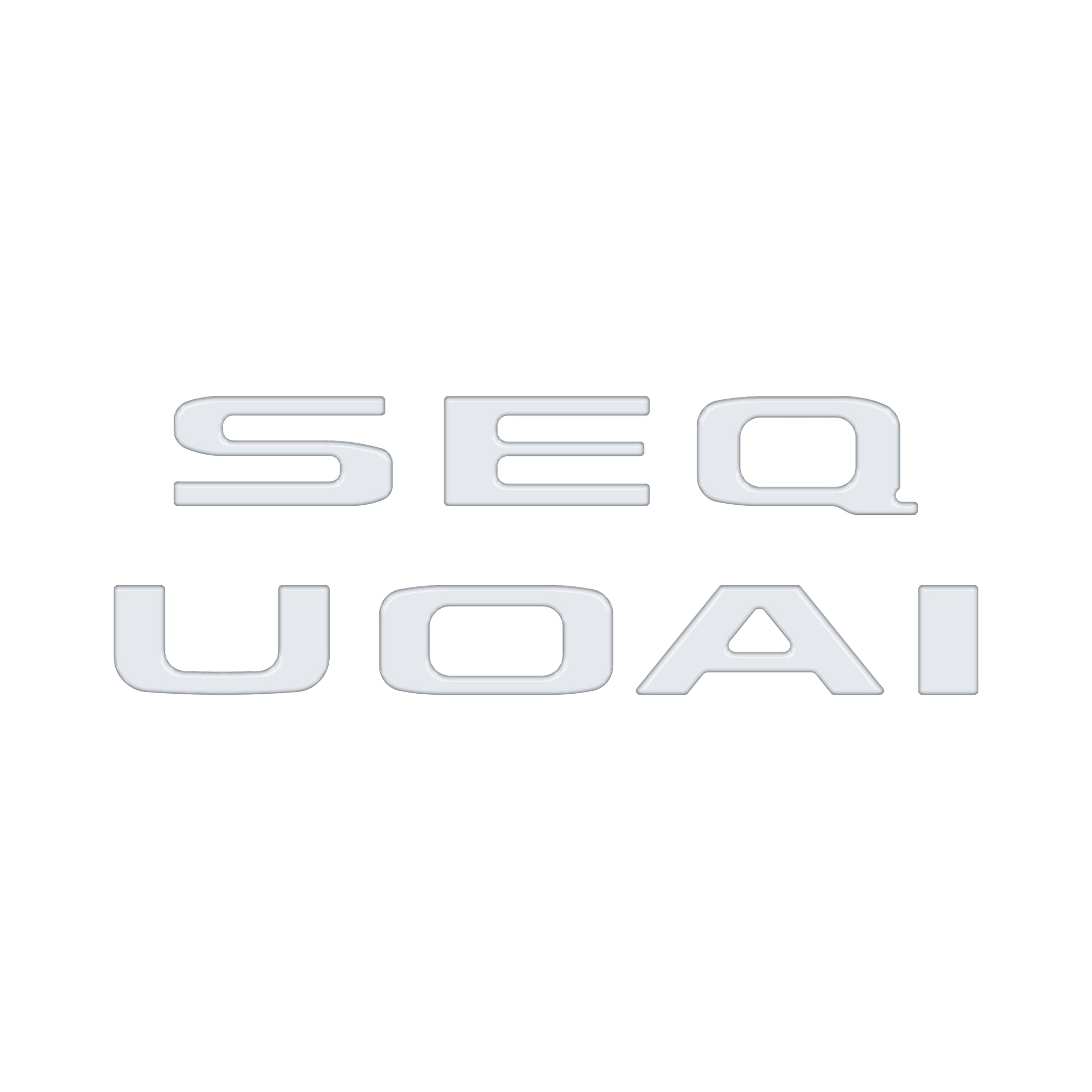 Rear Hatch Letter Overlays Fits 2023-2026 Toyota Sequoia