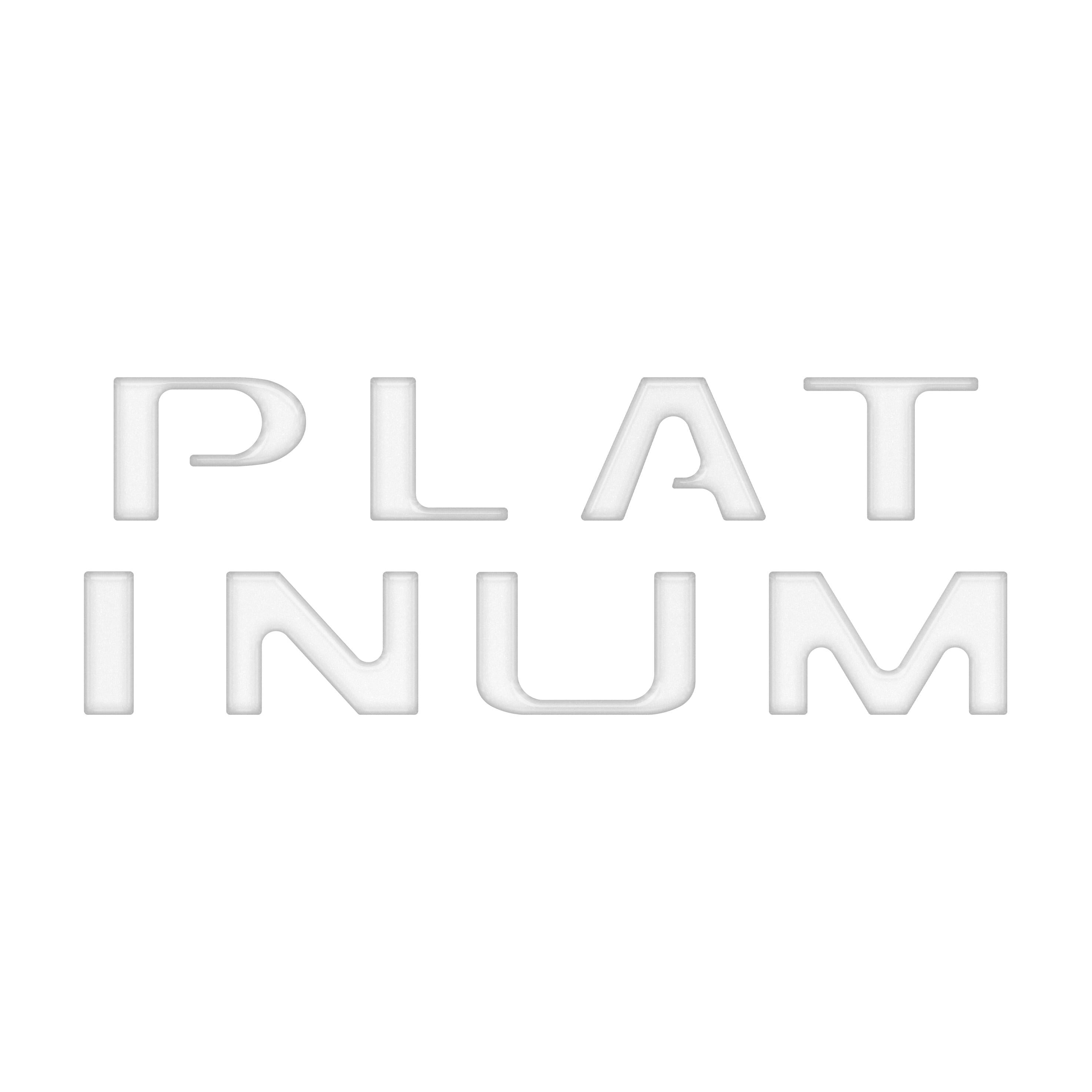 Platinum Tailgate Letter Overlays Fits 2020-2022 Ford Super Duty