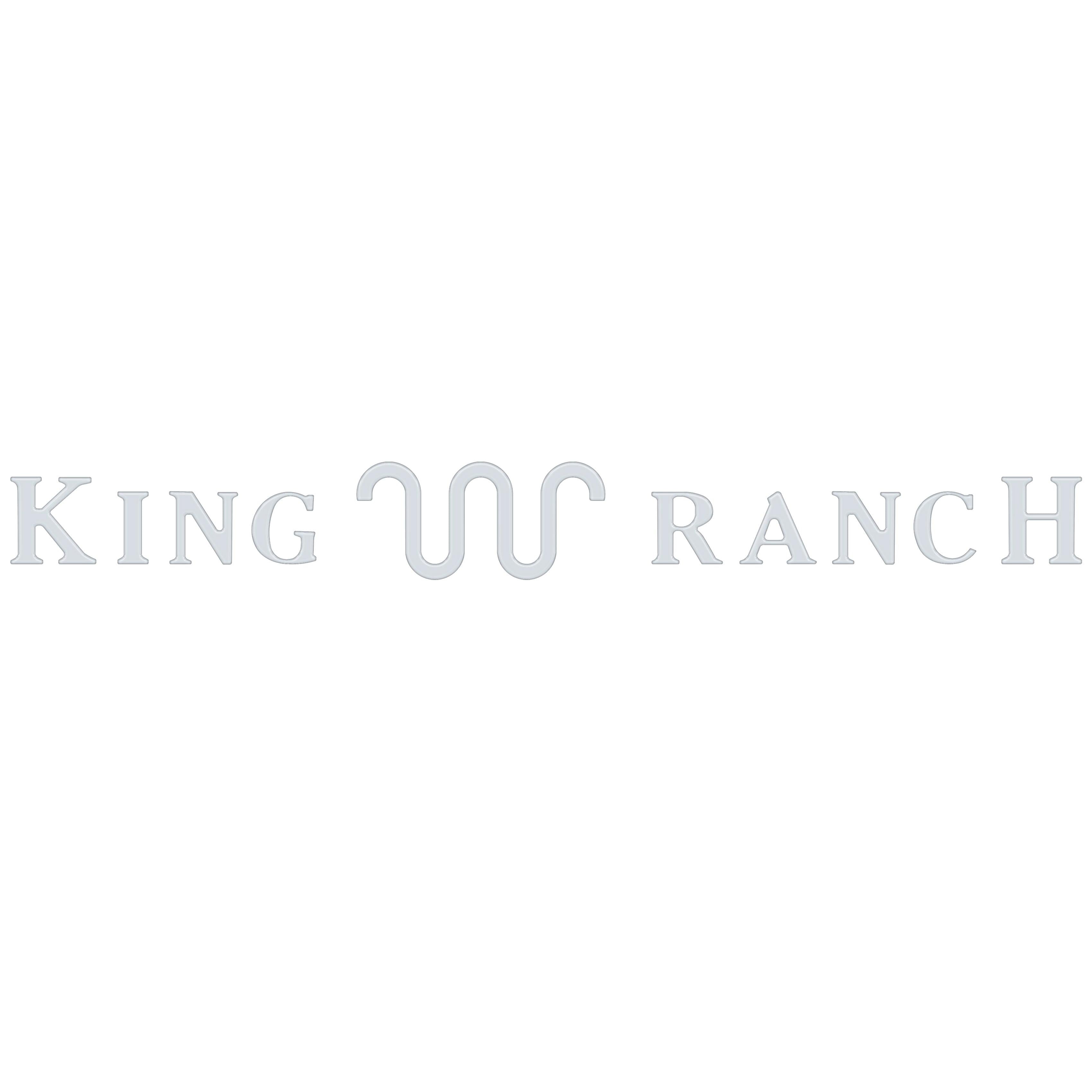 Tailgate Letter Inserts Fits 2023-2026 Ford Super Duty King Ranch