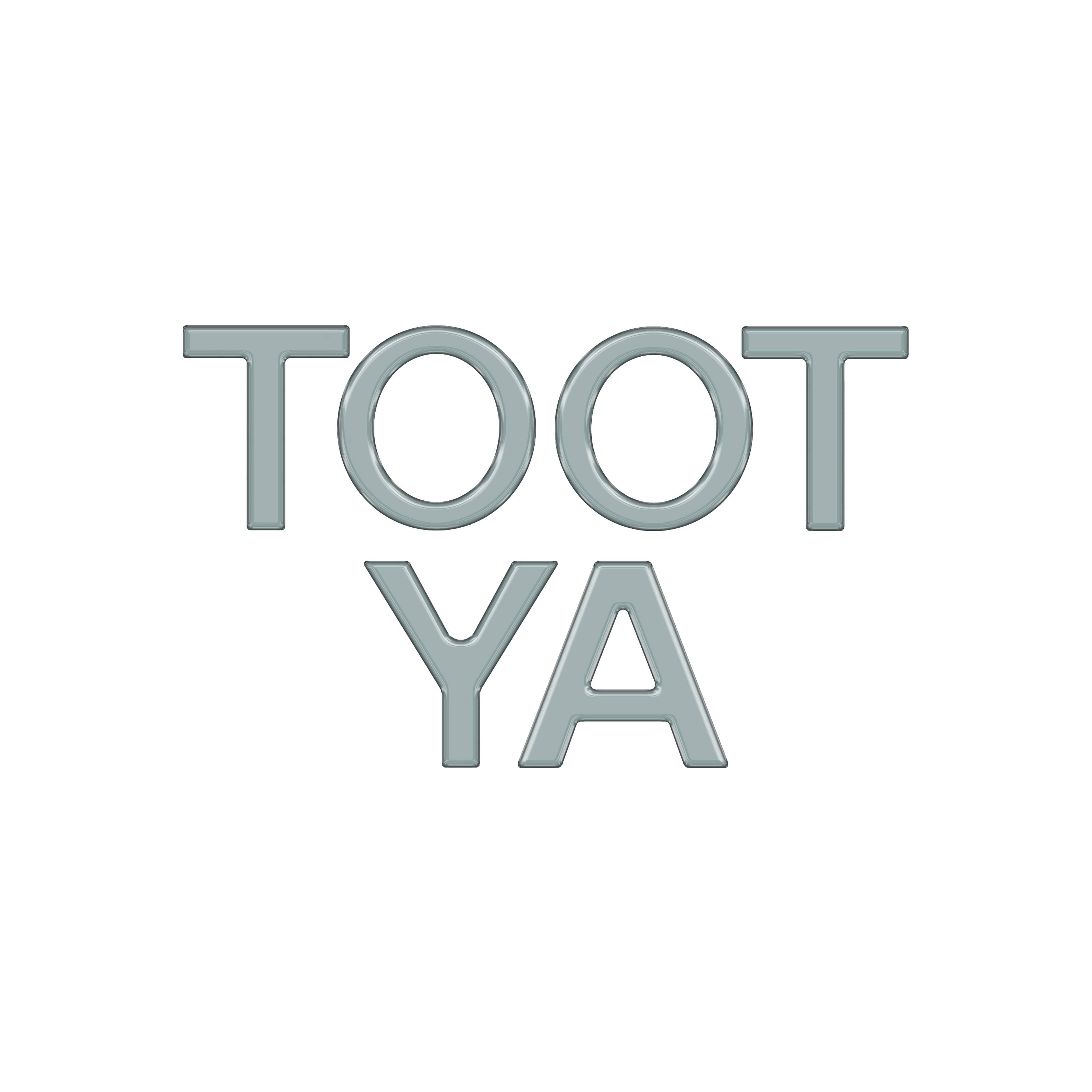 Grille Letter Overlays Fits 2016-2026 Toyota Tacoma