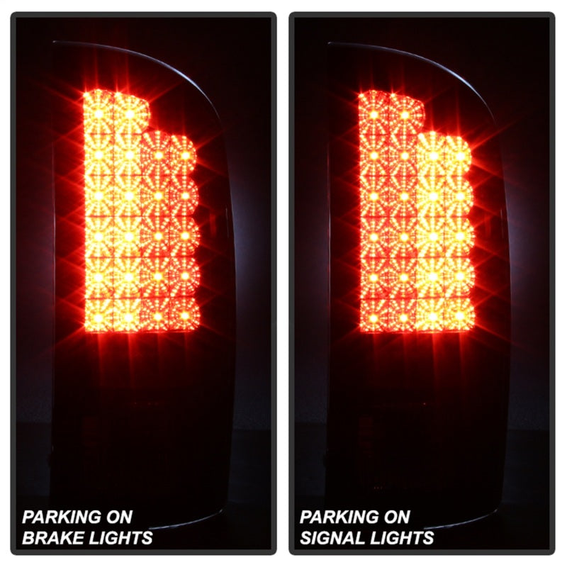 Spyder Dodge Ram 02-06 1500/Ram 2500/3500 03-06 LED Tail Light Black ALT-YD-DRAM02-LED-BK-SR1 Performance