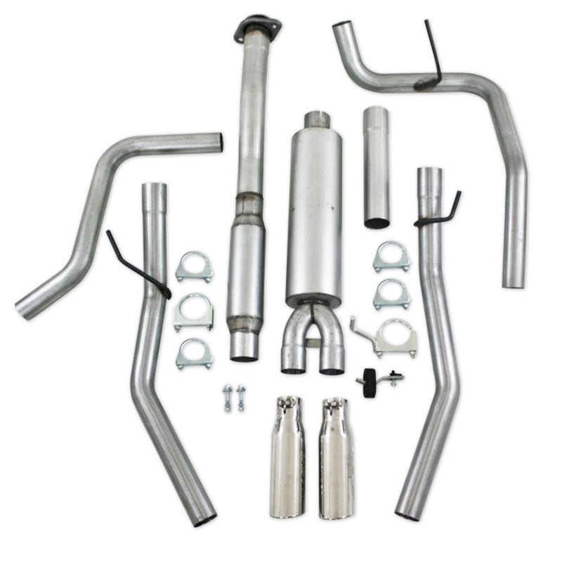 MBRP 11 Ford F-150 5.0L V8 Aluminized Cat Back Dual Split Rear Exit-SR1 Performance