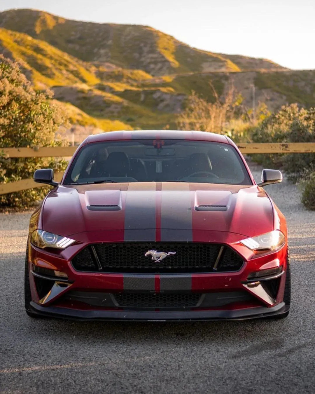 Mustang 2015-2023 Exterior Carbon Fiber Mirror Covers -US or EU Spec - carbonaddons Carbon Fiber Parts, Accessories, Upgrades, Mods