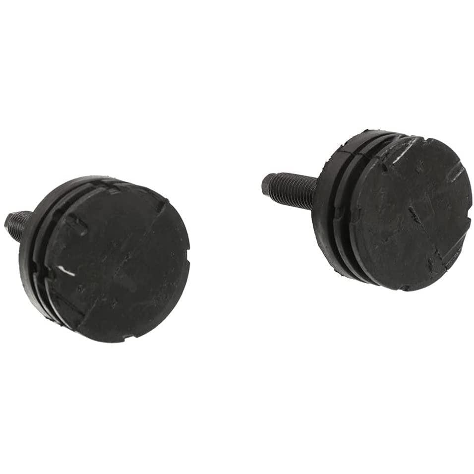 Corvette Stock Size Ride Height Adjusting Bolts-SR1 Performance