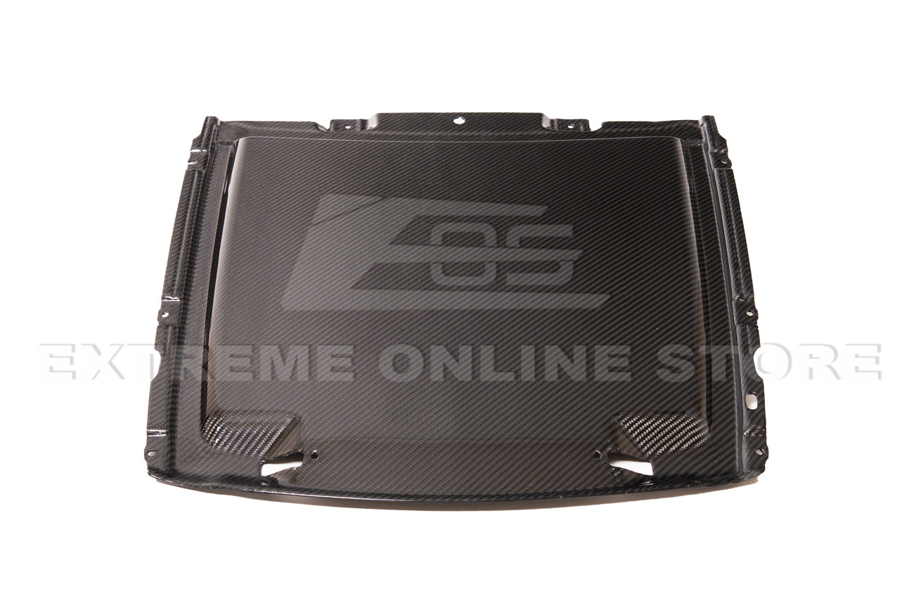 2020-23 Ford Mustang GT500 DRY Carbon Fiber Rain Tray Cover