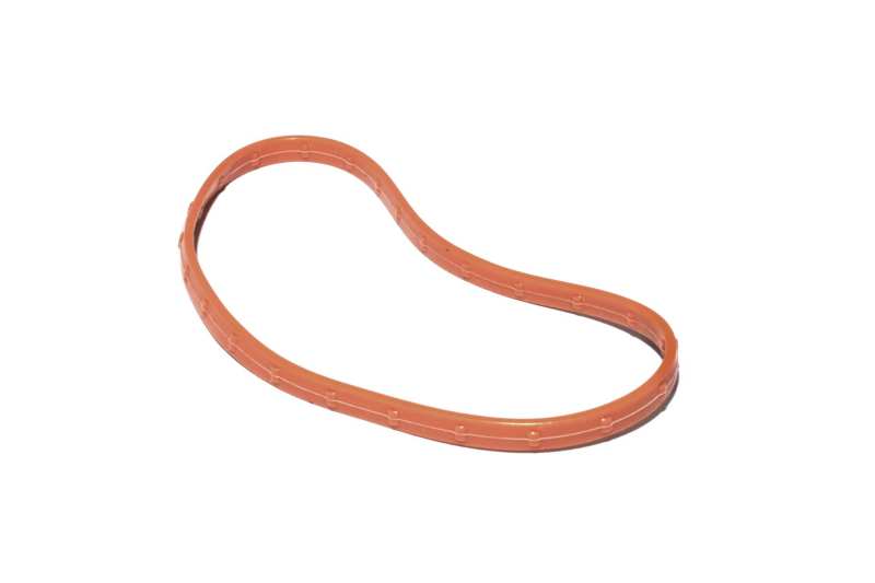 FAST O-Ring Seal For 102MM Throttle-SR1 Performance