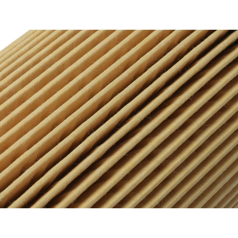 aFe Pro GUARD D2 Oil Filter 96-06 BMW Gas Cars L6 (4 Pack)-SR1 Performance