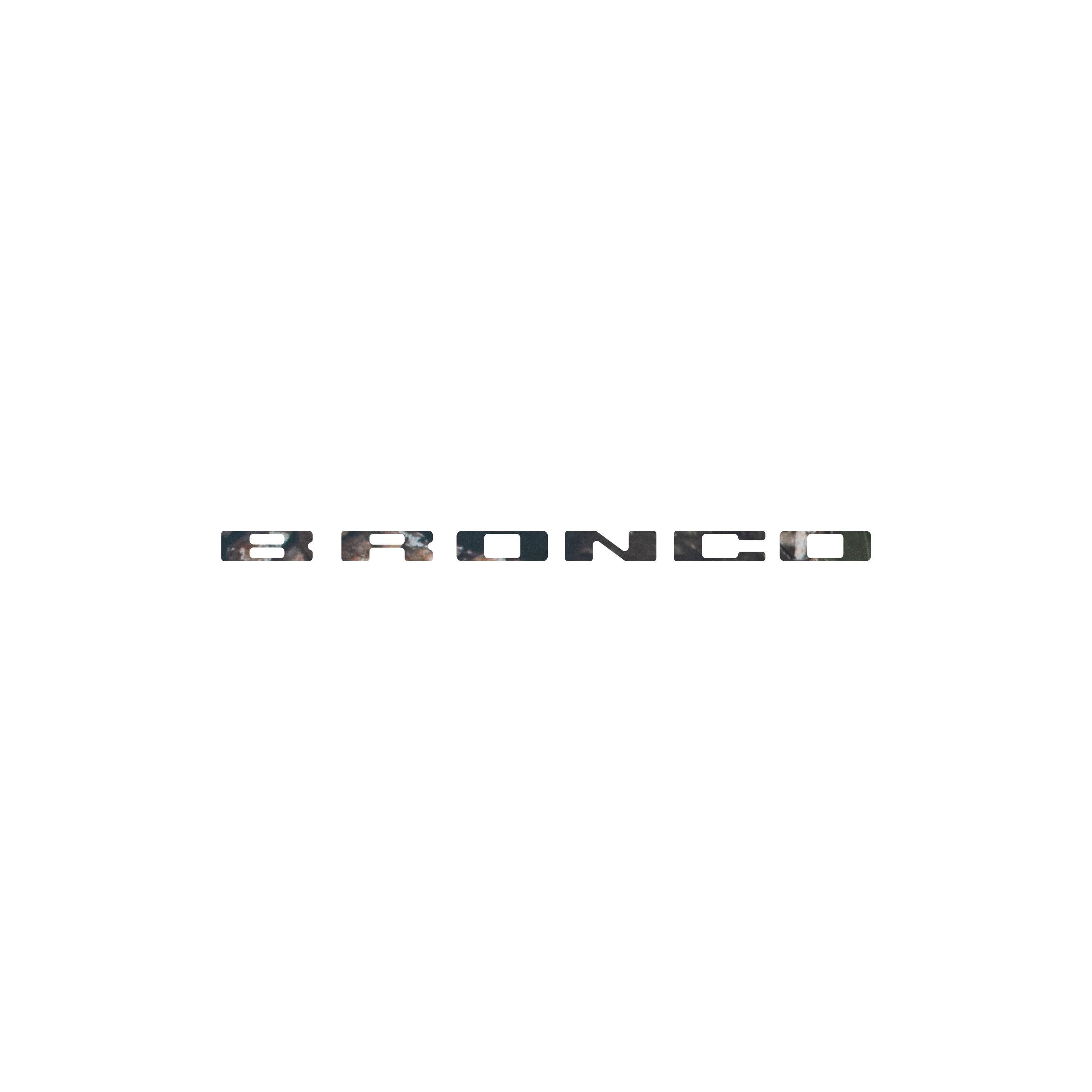 Passenger Dash Letter Inserts Fits 2025-2026 Ford Bronco Sport