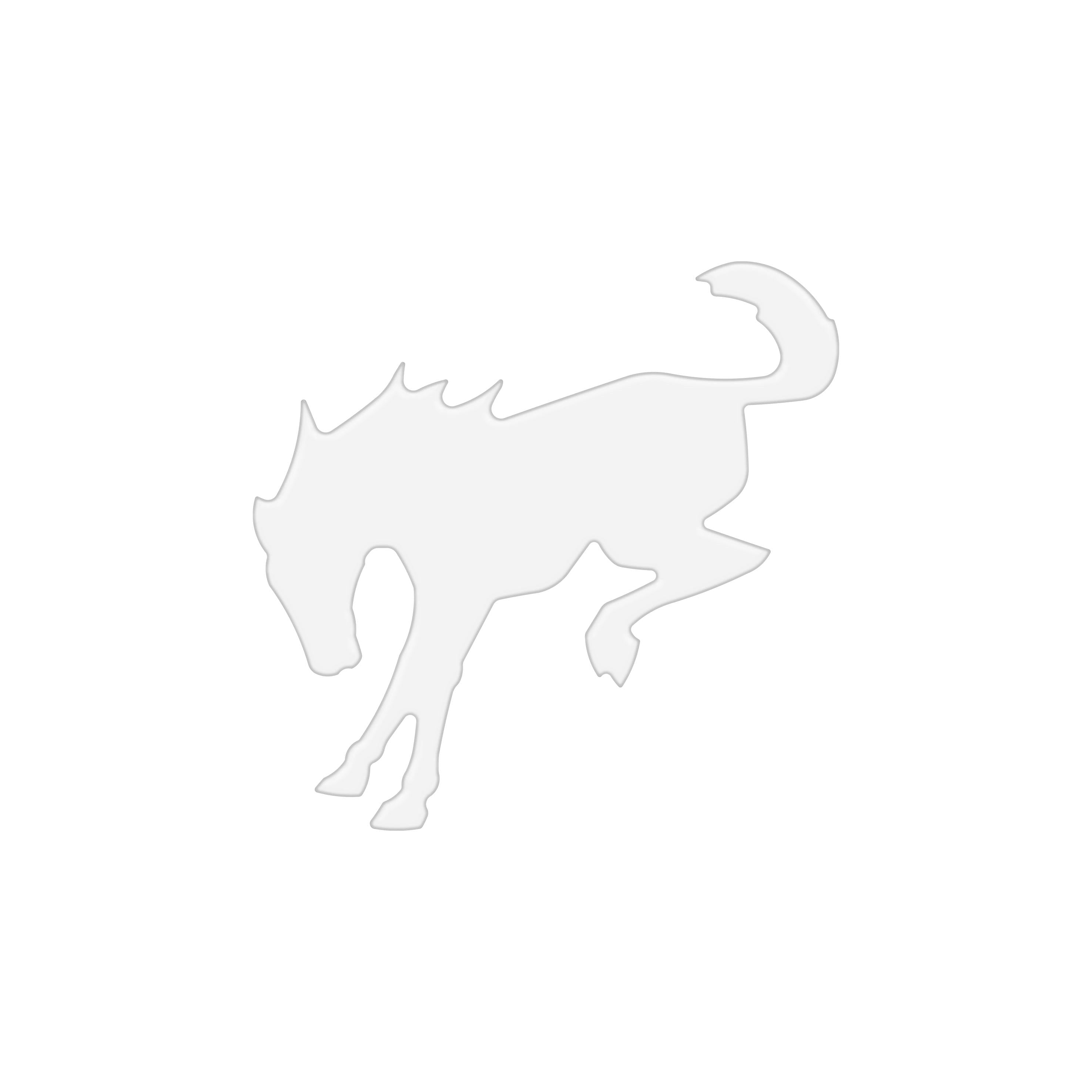 Bucking Bronco Trunk Emblem Inserts Fits 2022-2026 Ford Bronco