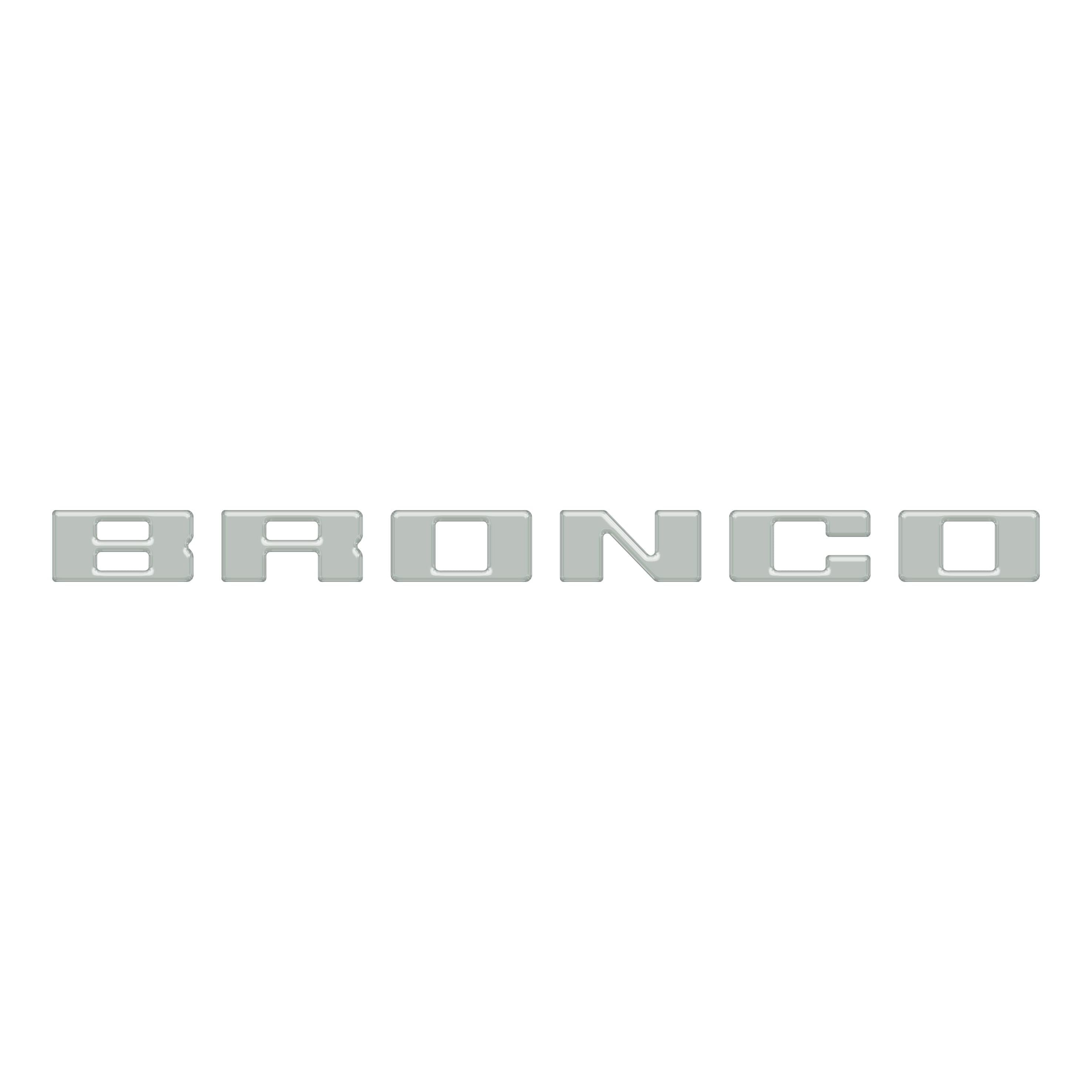 Slideout Tailgate Letter Inserts Fits 2021-2026 Ford Bronco