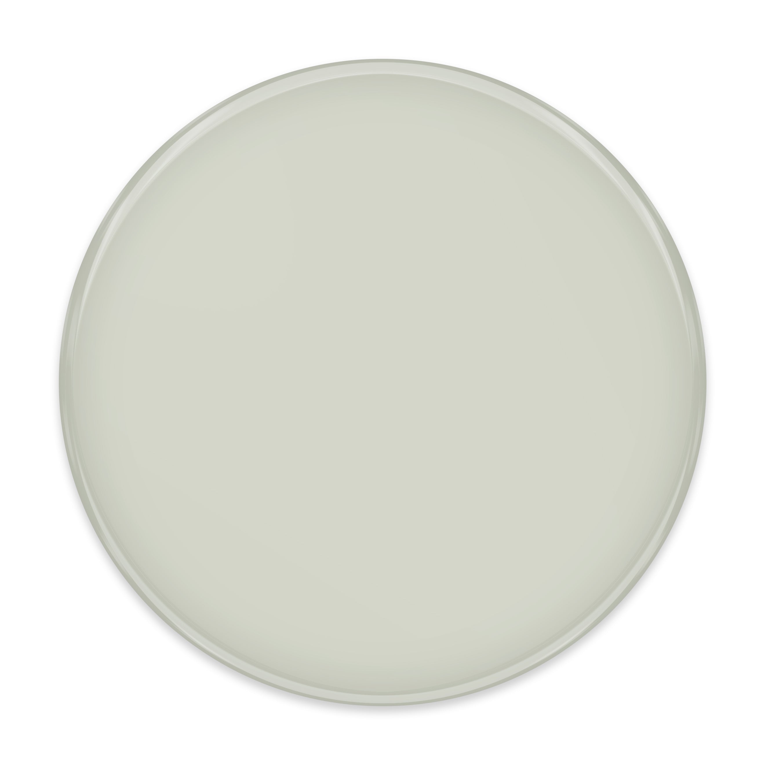 Ford (2x2 Color Samples)