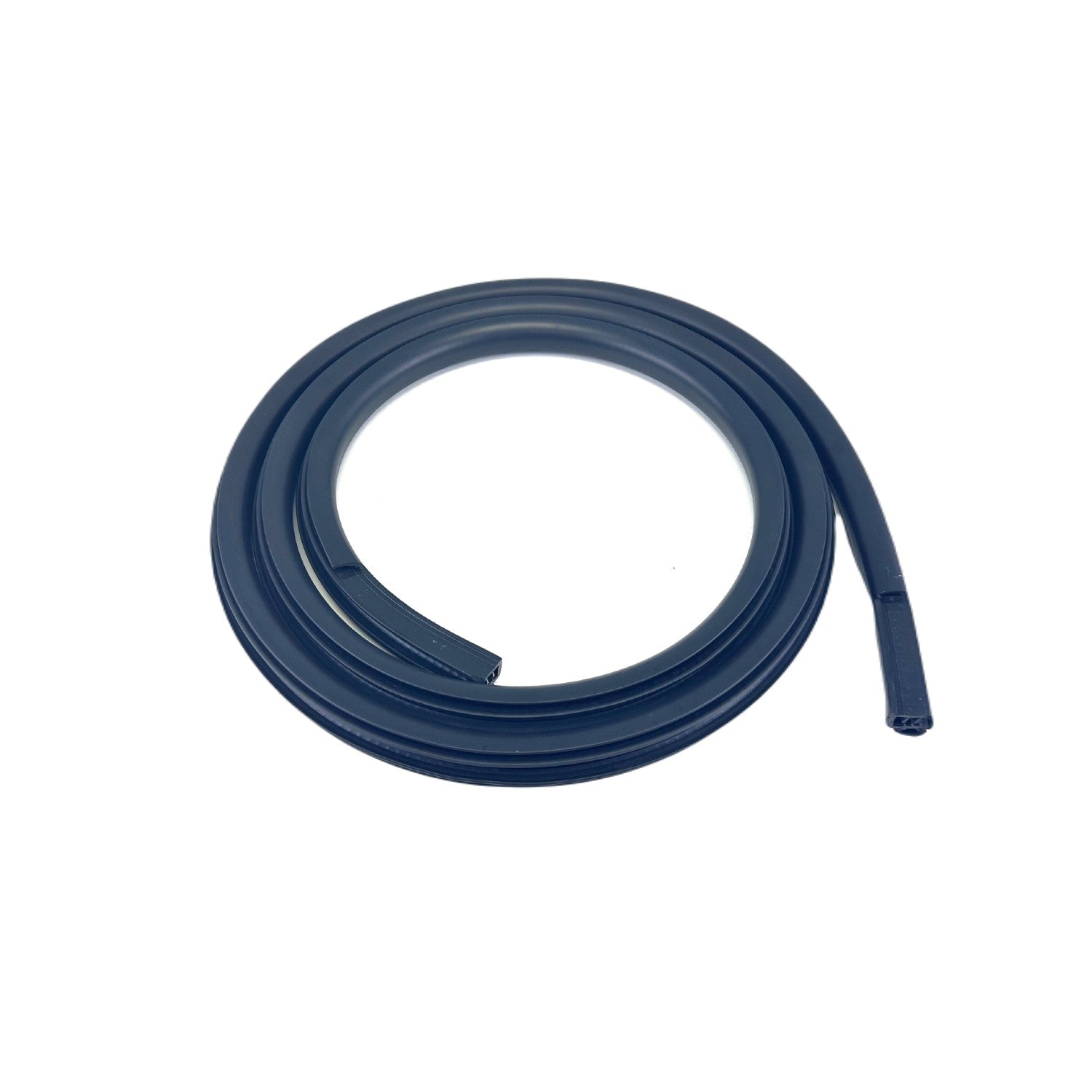 F3109 - Door Seal on Body, Rear
