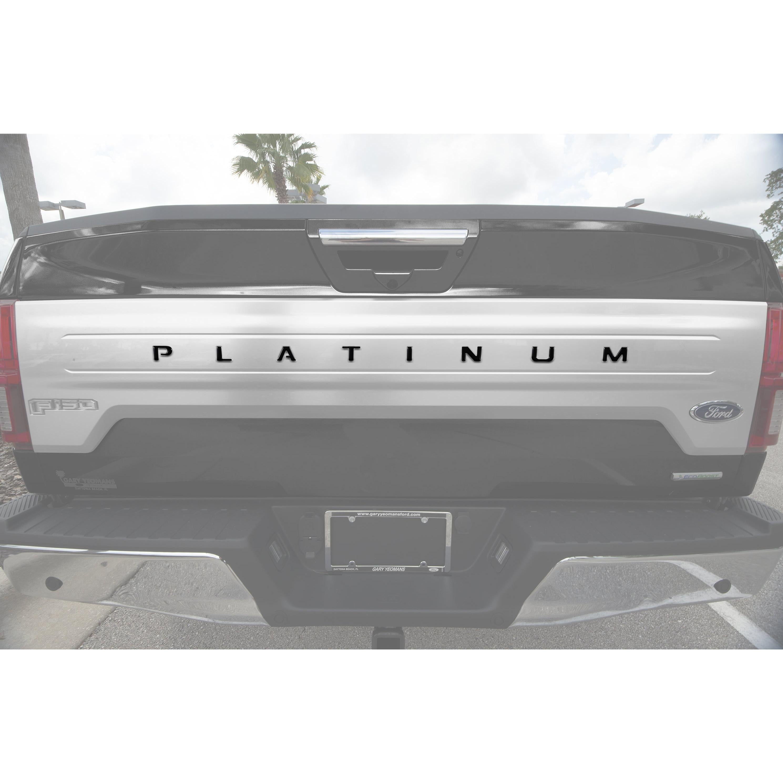 Tailgate Letter Inserts Fits 2018-2020 Ford F-150 Platinum