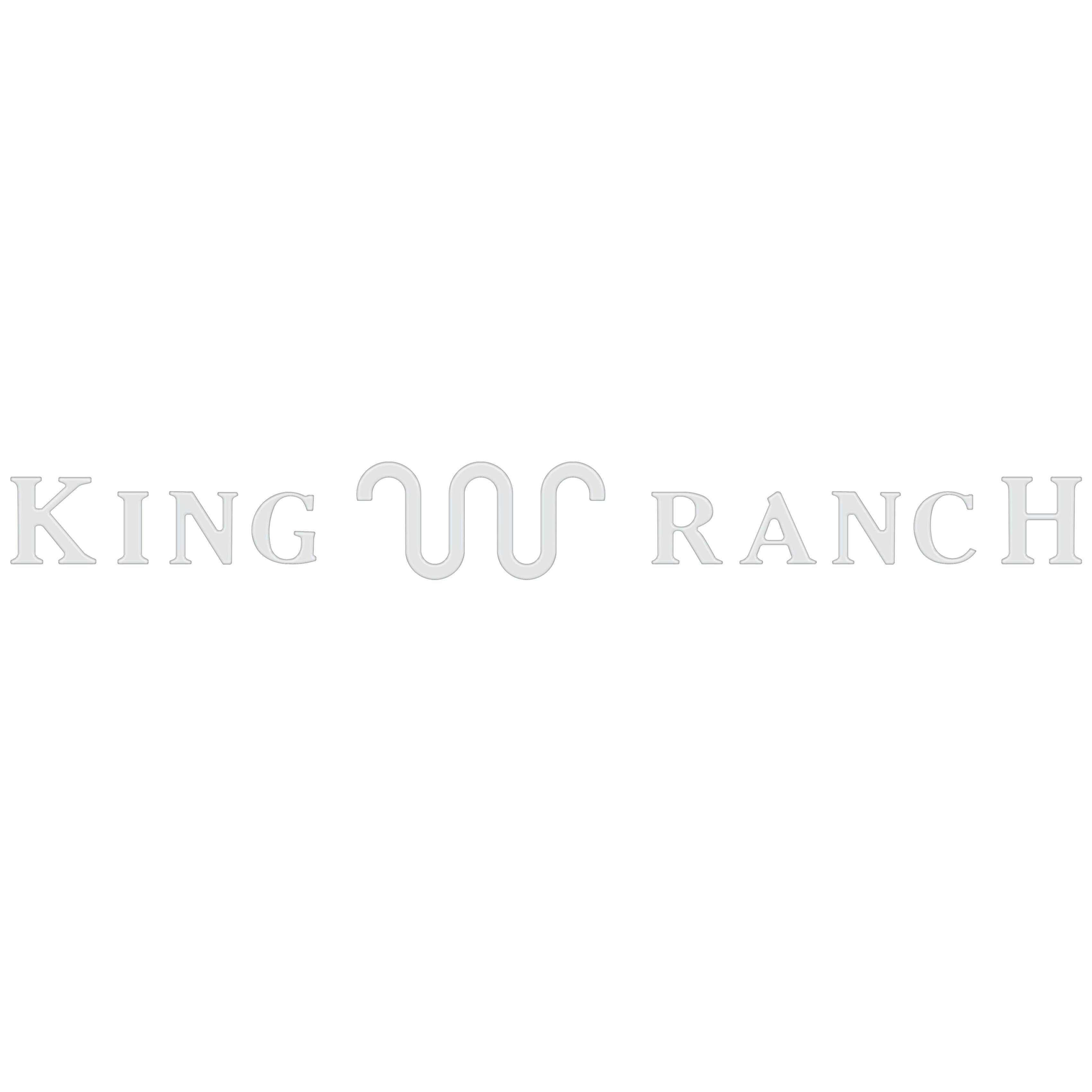 Tailgate Letter Inserts Fits 2021-2024 Ford F-150 King Ranch