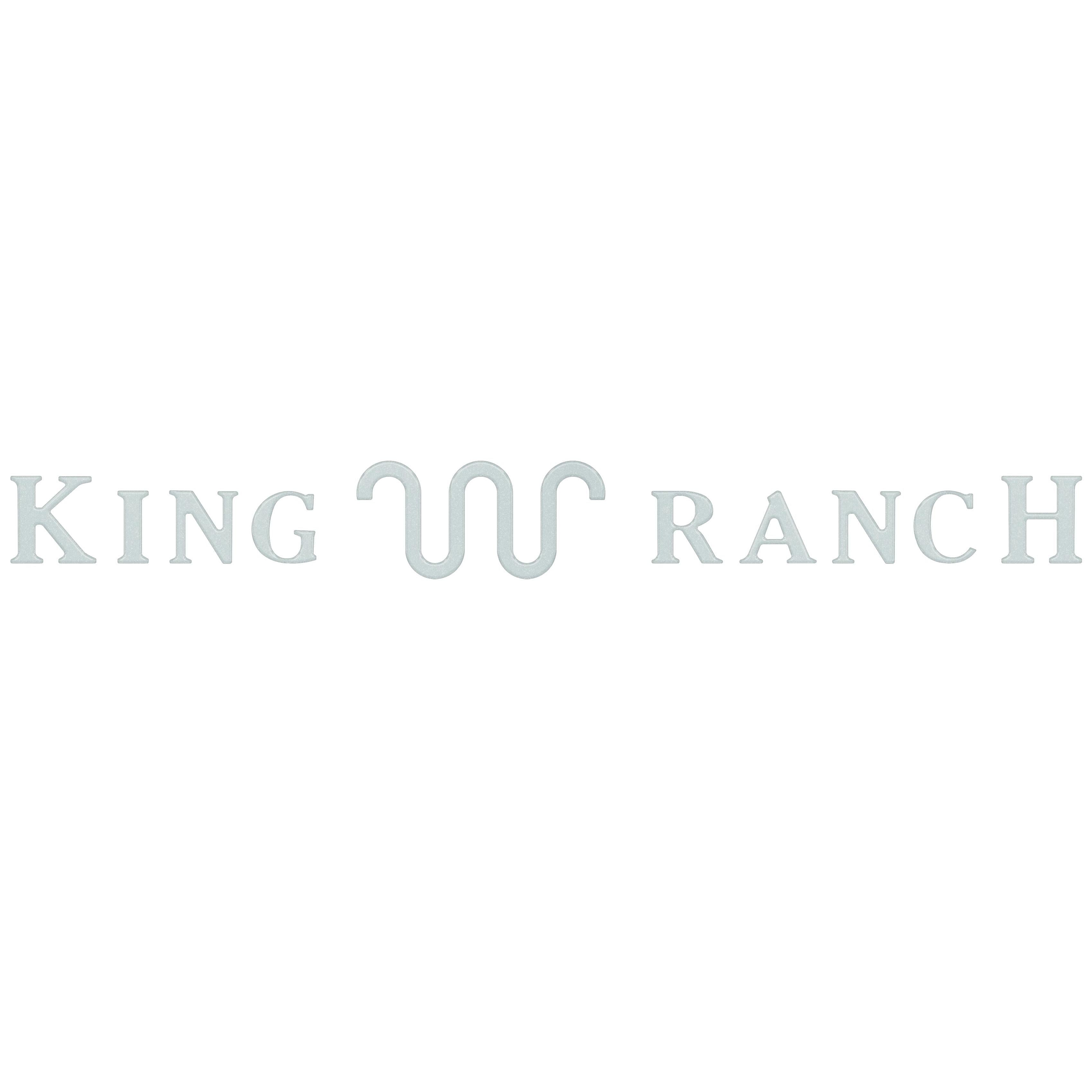 Tailgate Letter Inserts Fits 2021-2024 Ford F-150 King Ranch