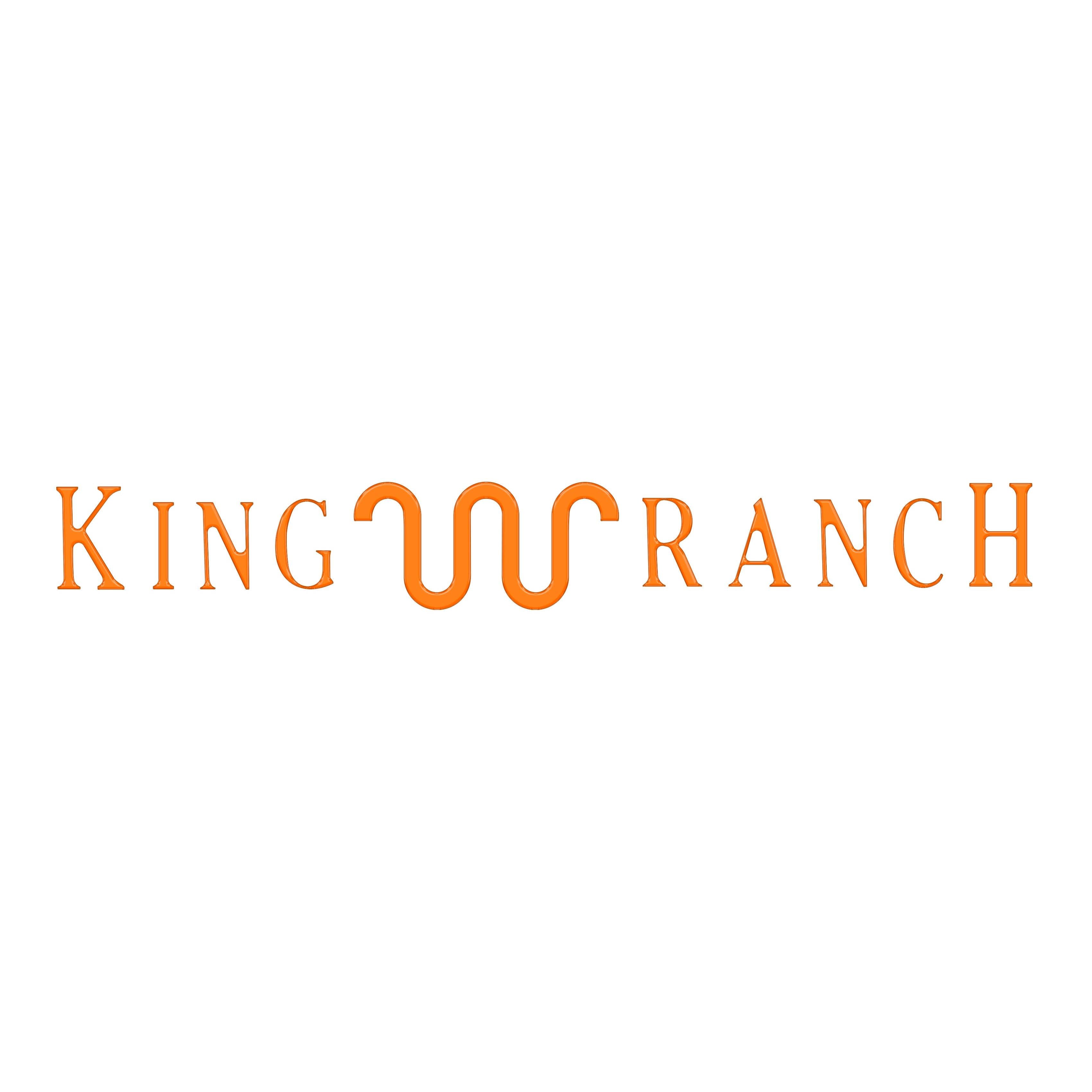 King Ranch Tailgate Letter Inserts Fits 2015-2017 Ford F-150
