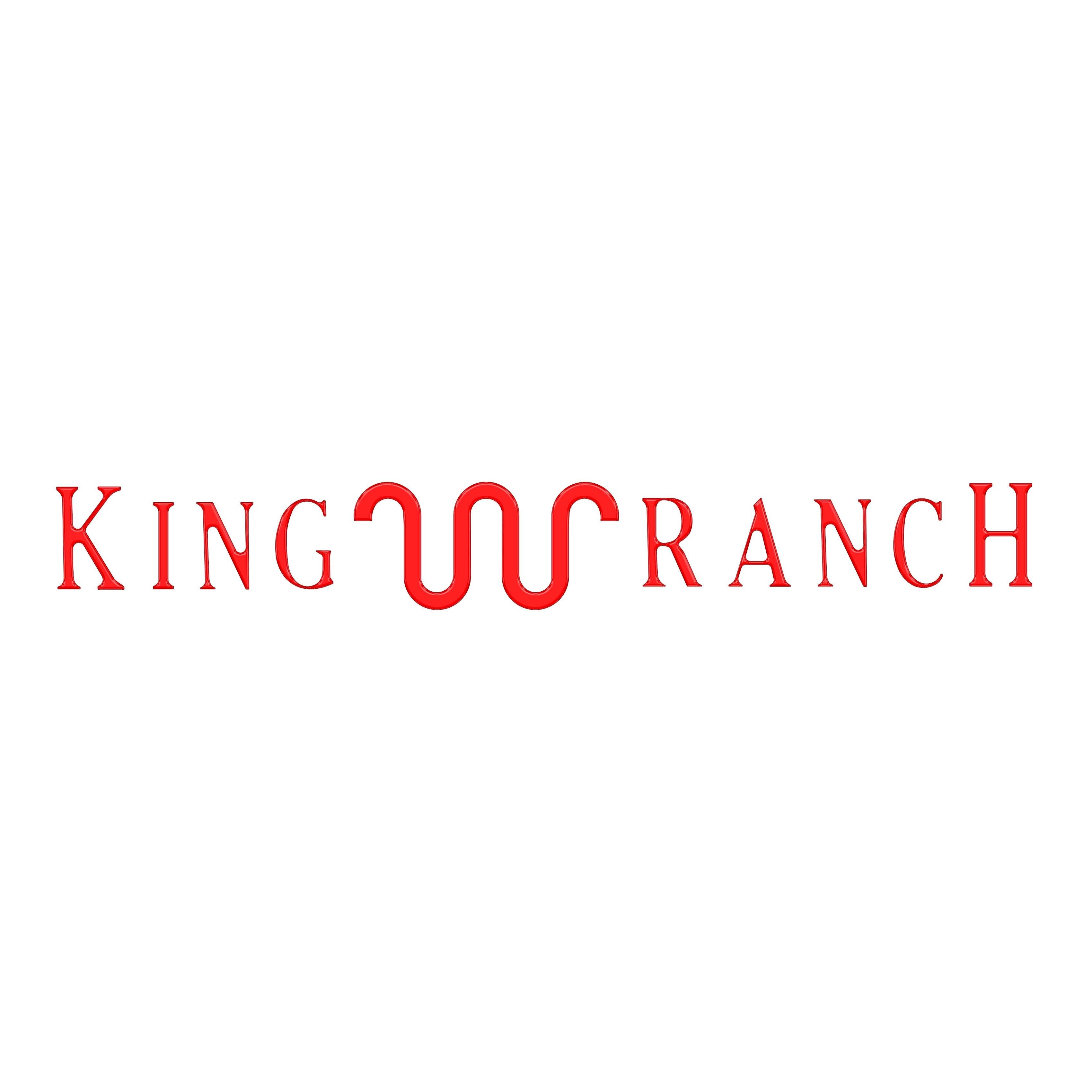 King Ranch Tailgate Letter Inserts Fits 2015-2017 Ford F-150