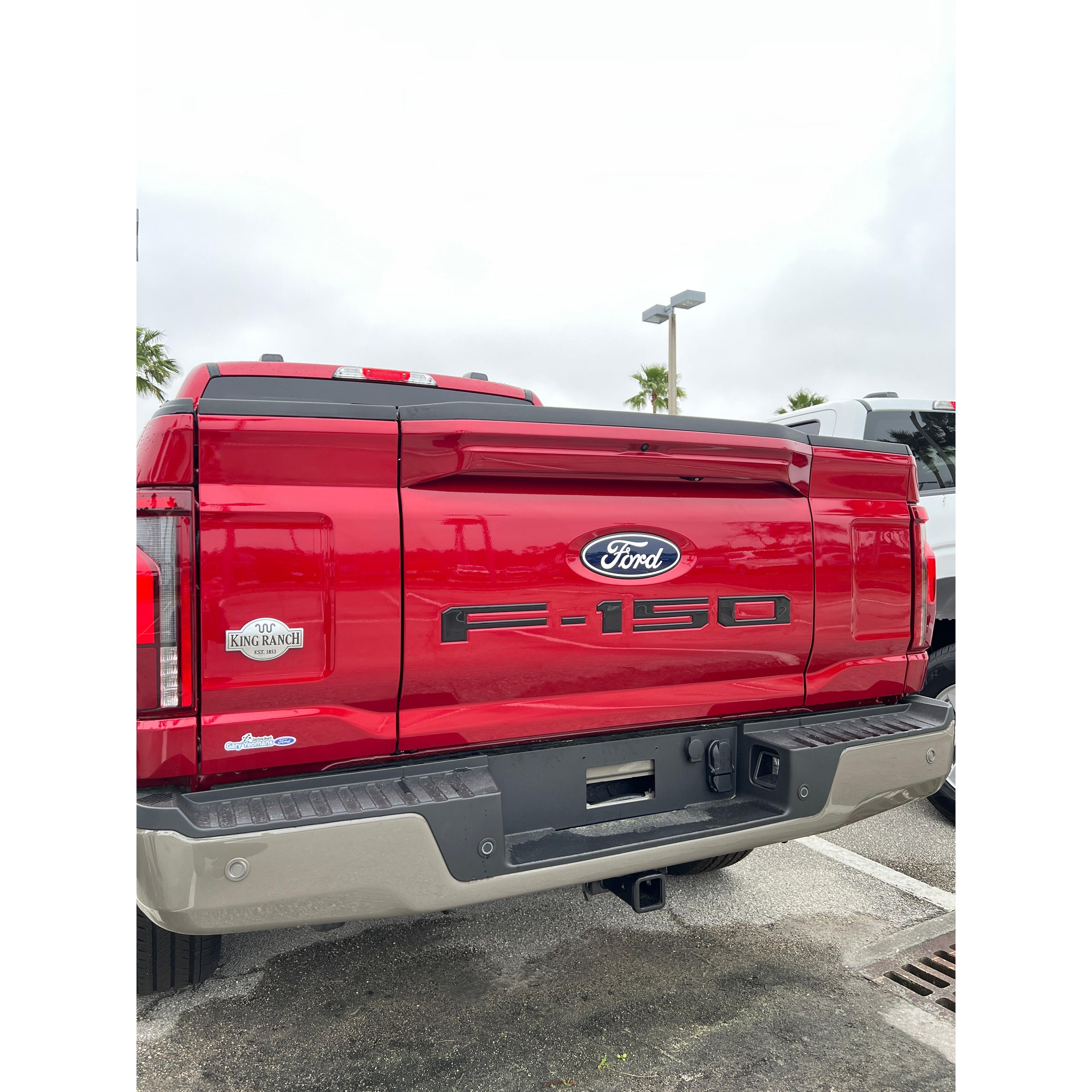 Tailgate Letter Inserts Fits 2021-2026 Ford F-150