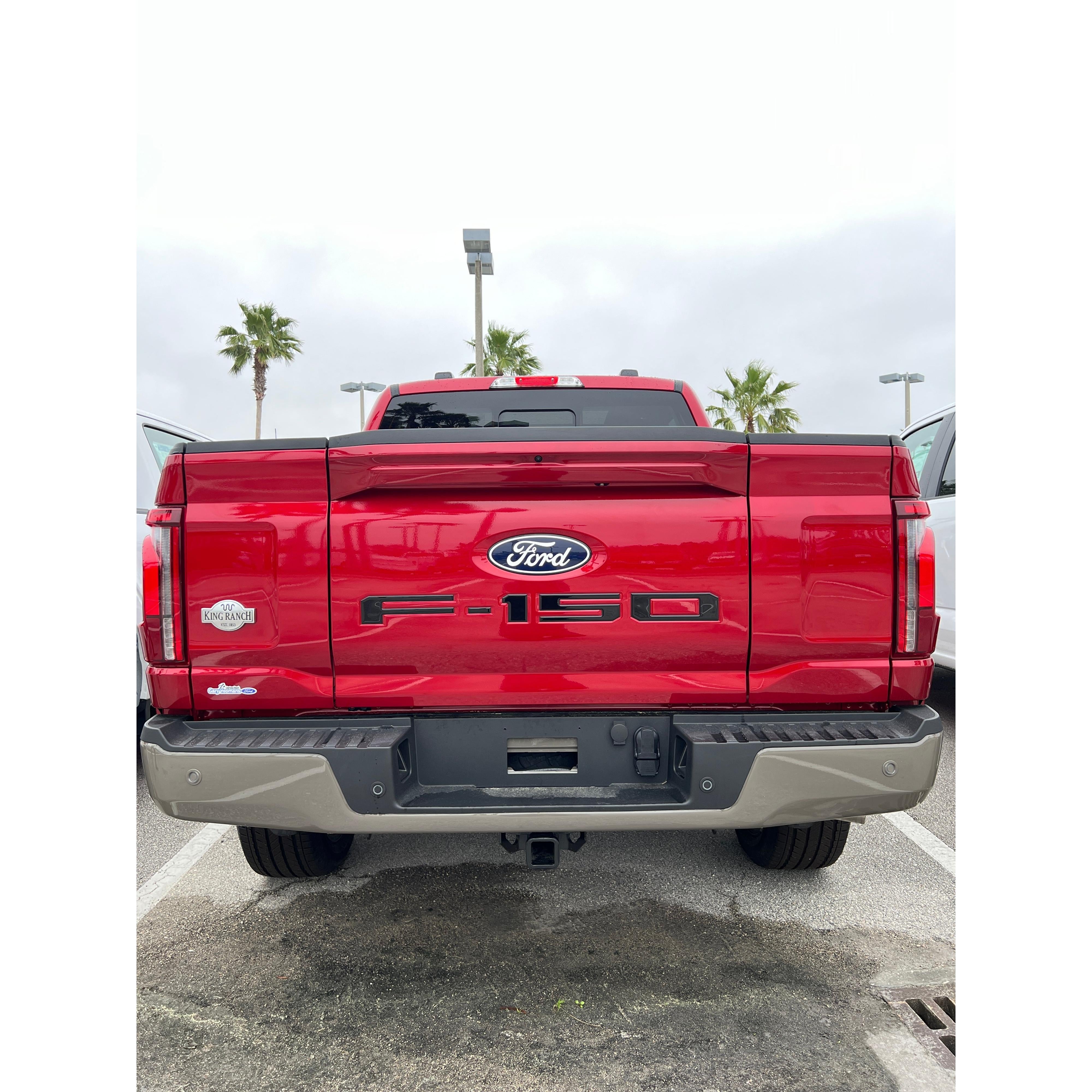 Tailgate Letter Inserts Fits 2021-2026 Ford F-150