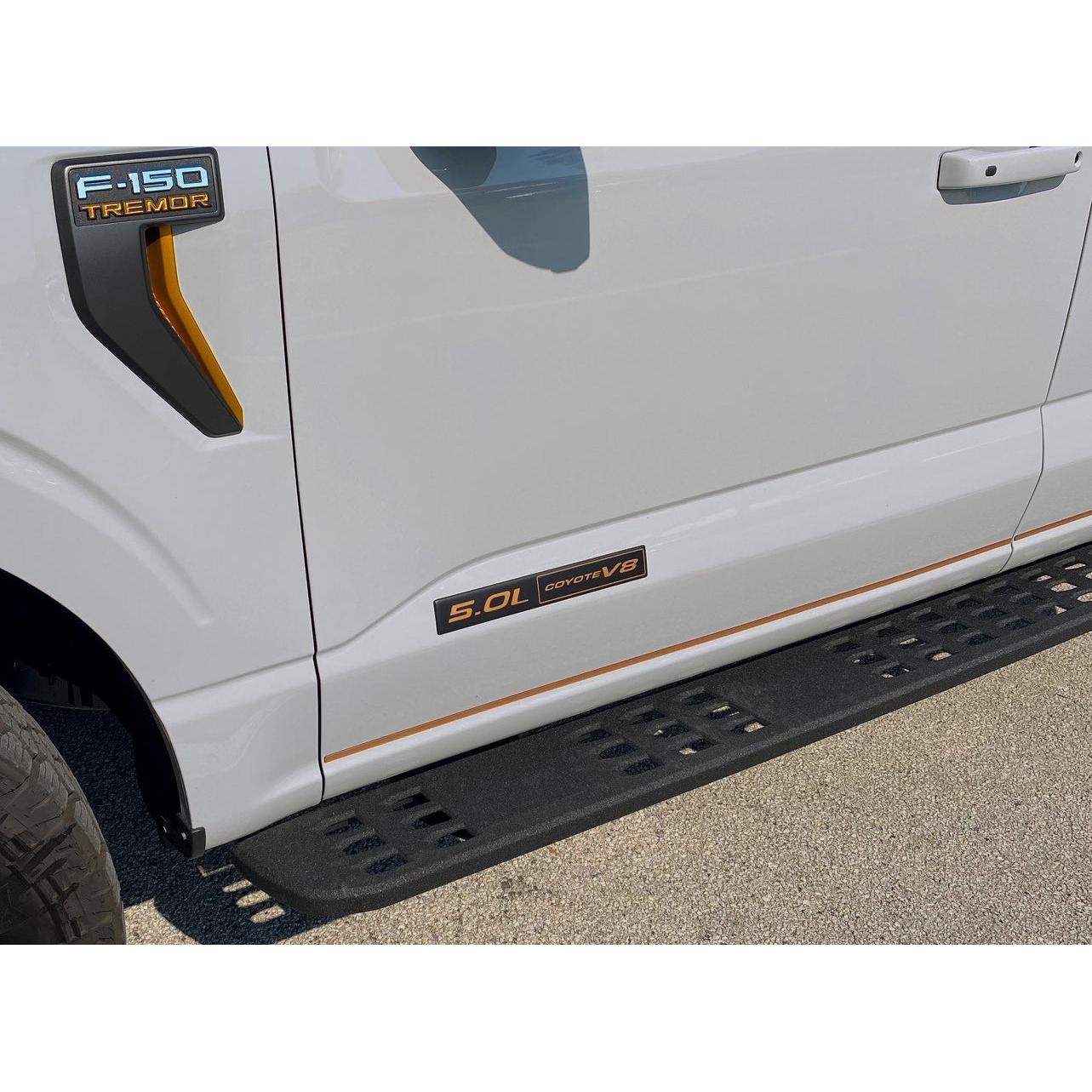 Engine Badges Fits Any Ford Model