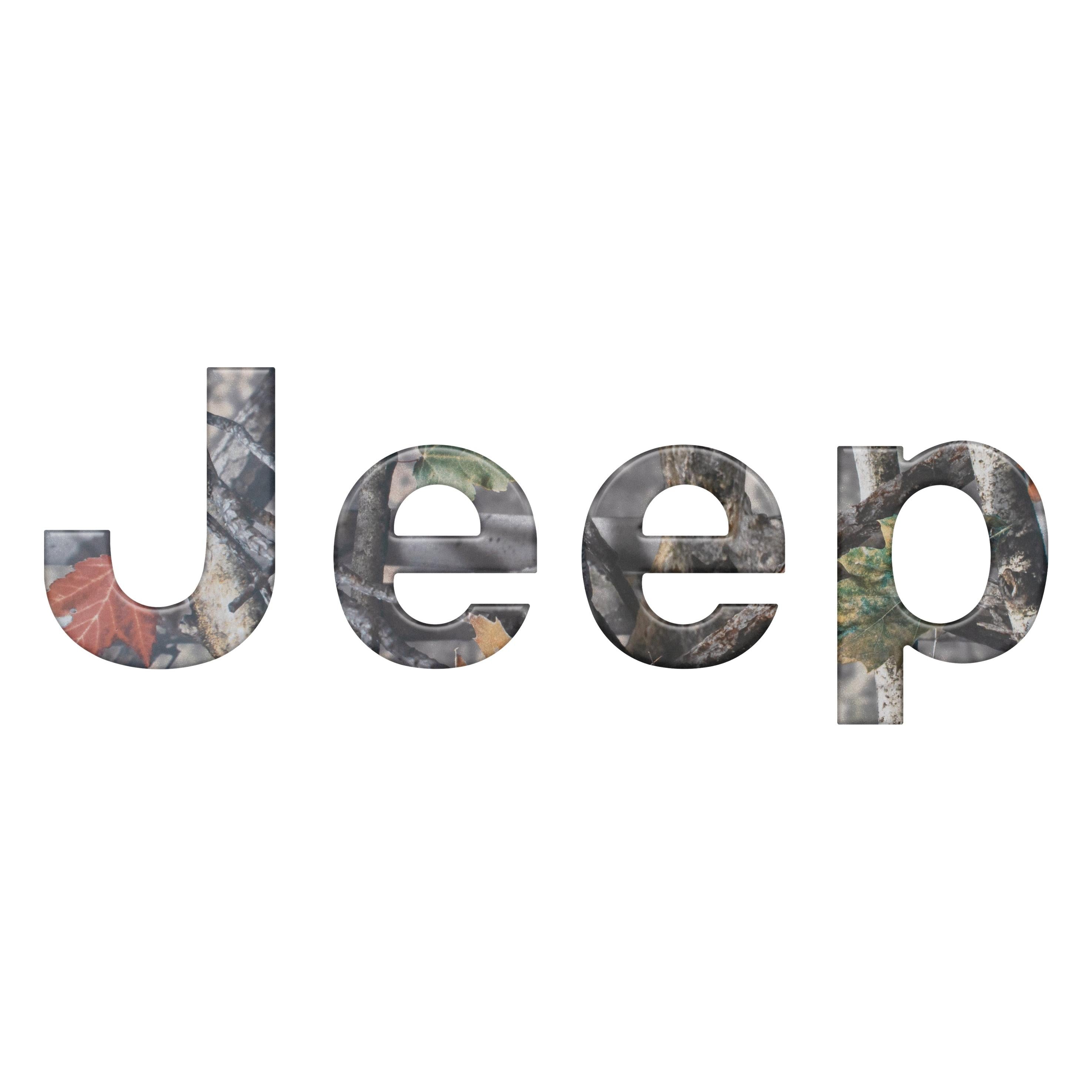 Tailgate Letter Overlays Fits 2019-2026 Jeep Gladiator