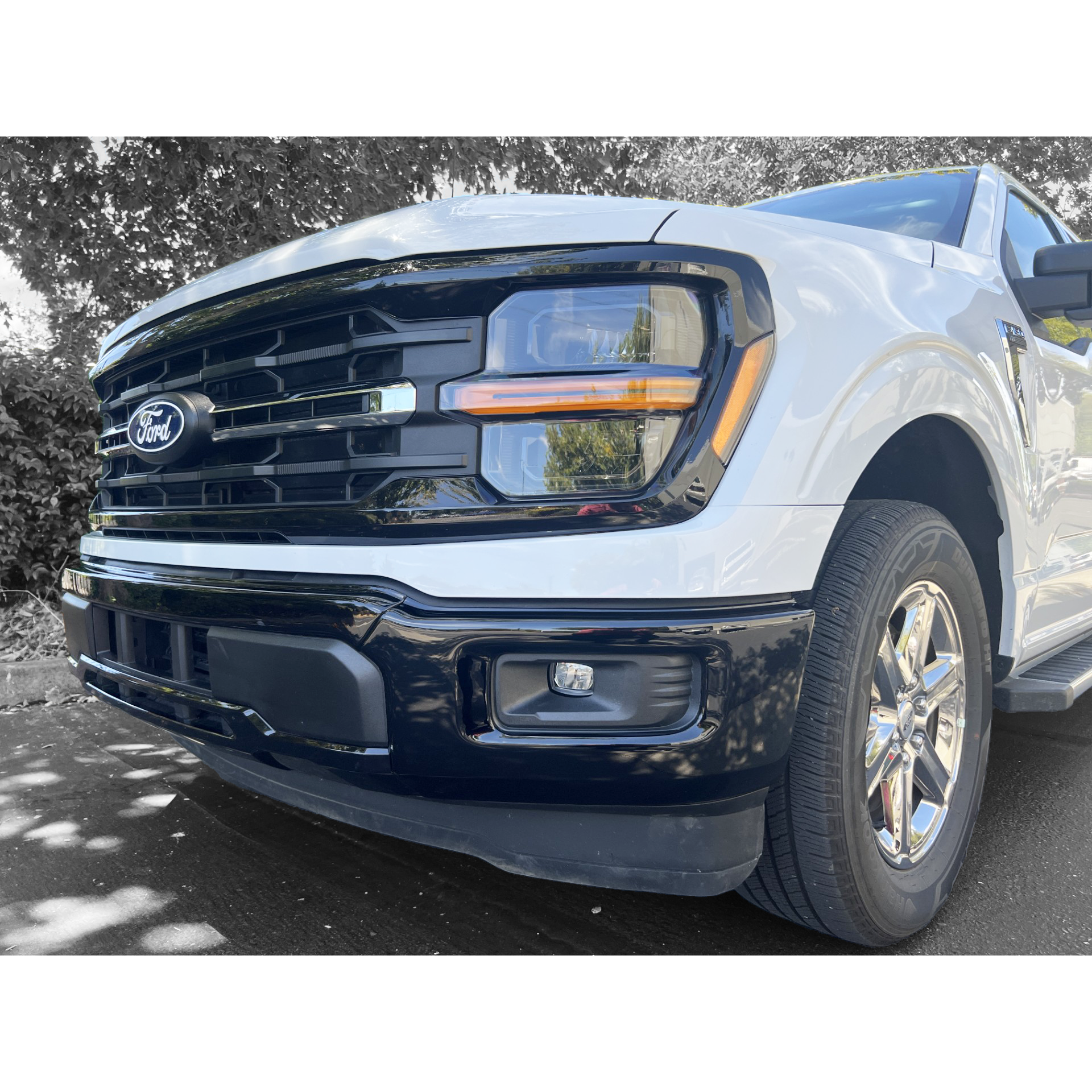 2024-2026 Ford F150 Front Bumper Overlays