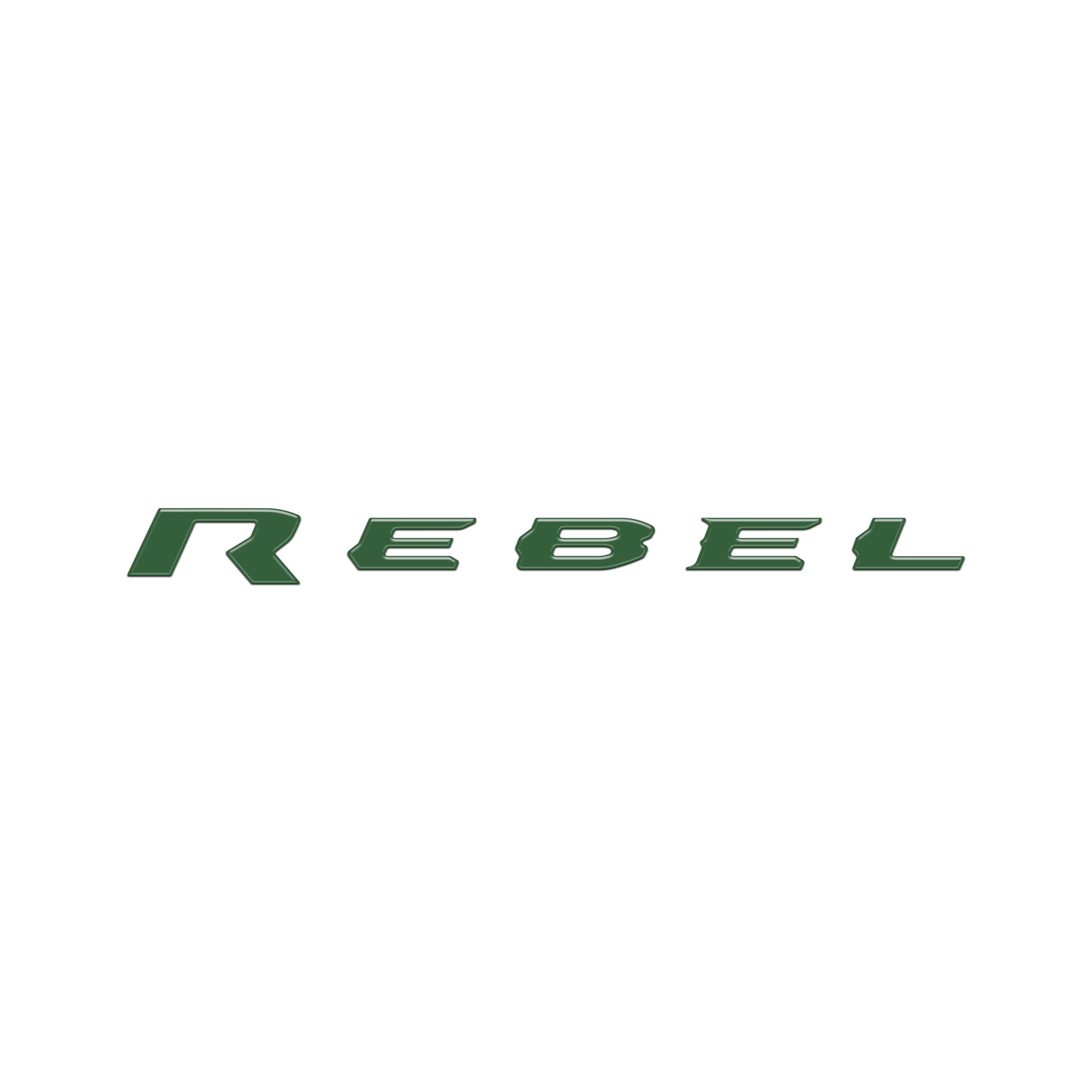 Rebel Tailgate Emblem Letter Inserts Fits 2025-2026 Ram 1500/2500/3500