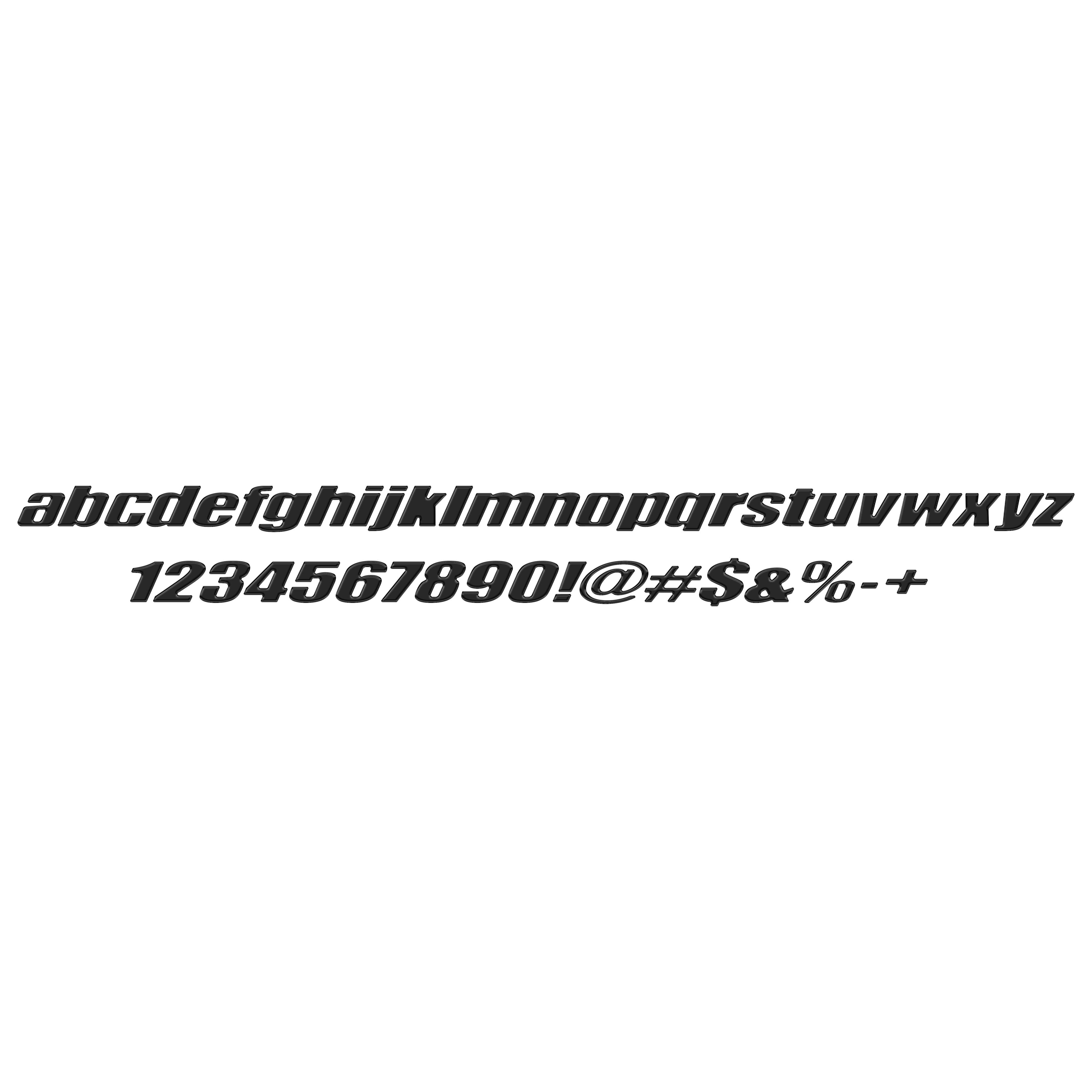 Ryker Side Lettering Overlays Fits 2019-2024 Can-Am Ryker