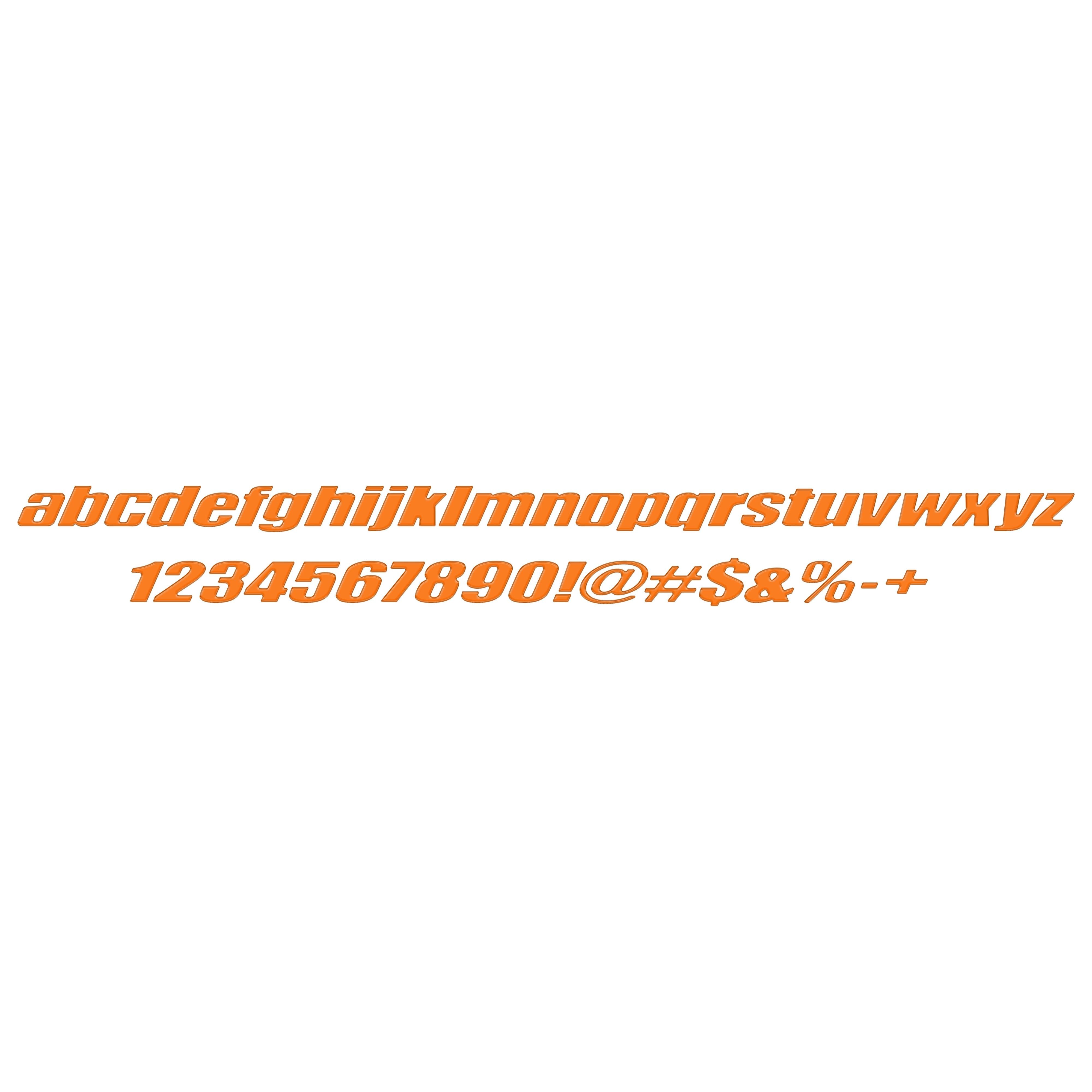 Ryker Side Lettering Overlays Fits 2019-2024 Can-Am Ryker